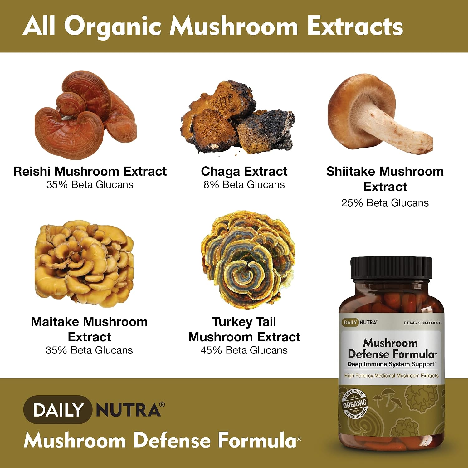 DailyNutra Mushroom Defense Formula - Immune Support Supplement | Organic Mushrooms, Hot Water Extracted - Reishi, Chaga, Maitake, Shiitake & Turkey Tail (90 Capsules)
