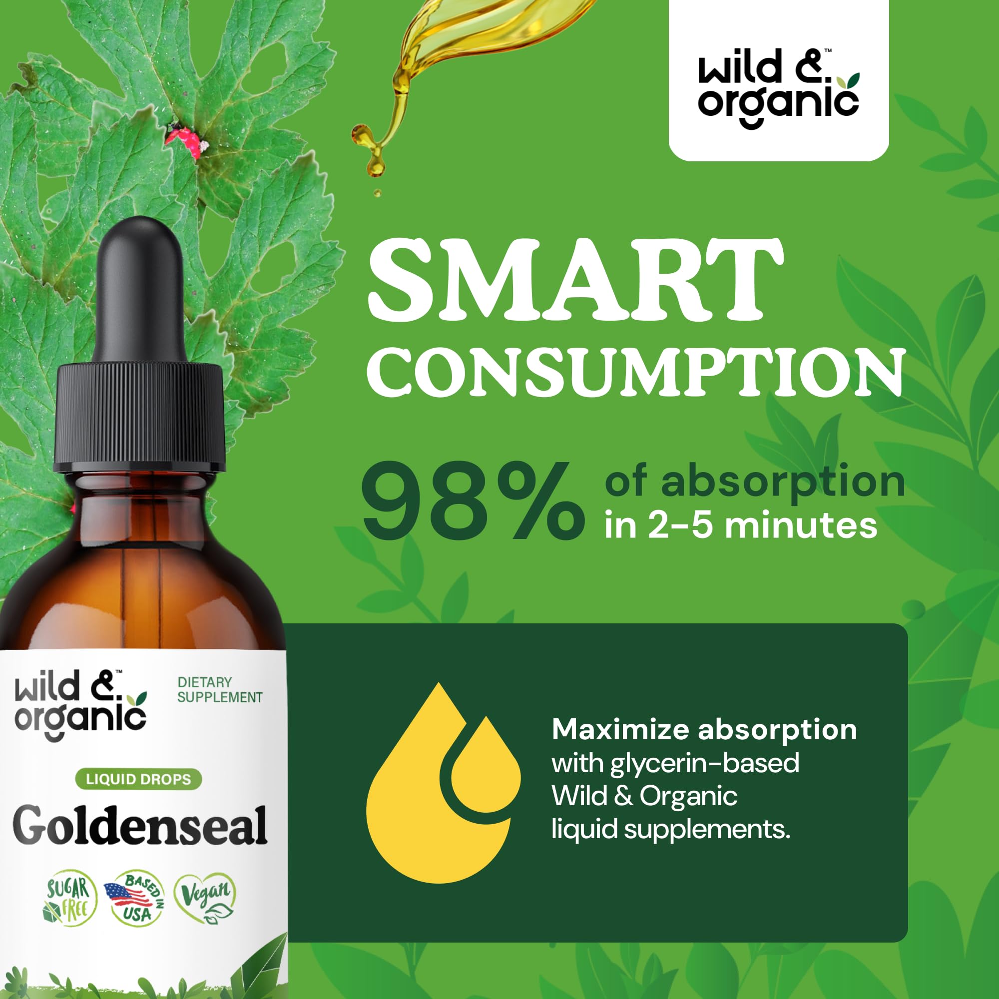 Wild & Organic Goldenseal Tincture - Lung & Digestive Support - Goldenseal Root Extract Liquid Drops - Vegan, Sugar & Alcohol-Free Herb Supplement - 4 fl oz