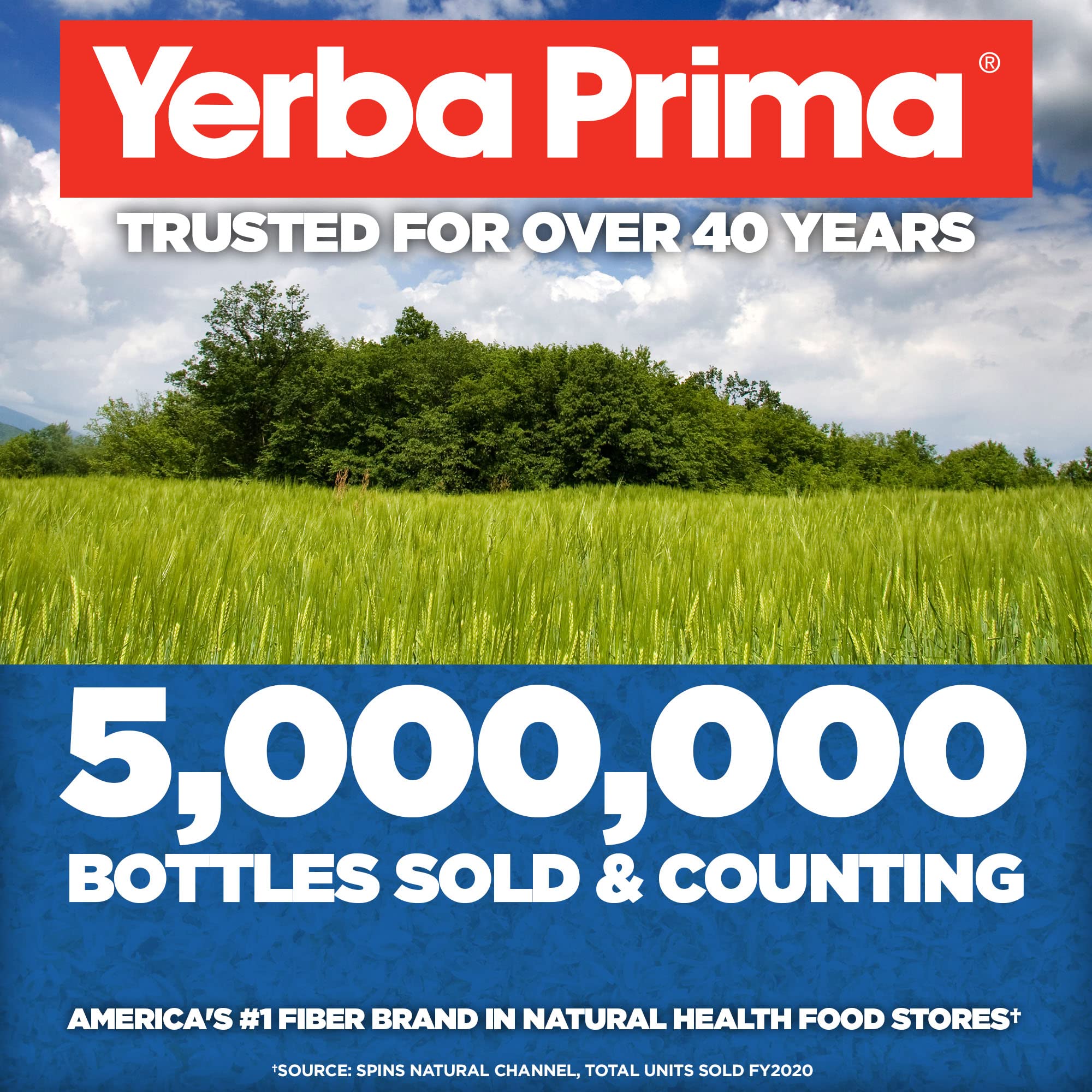 Yerba Prima Psyllium Whole Husk, 1 Bottle 12 oz - Fiber Supplement, Vegan, No Sugar or Artificial Sweeteners, Non GMO, Gluten Free