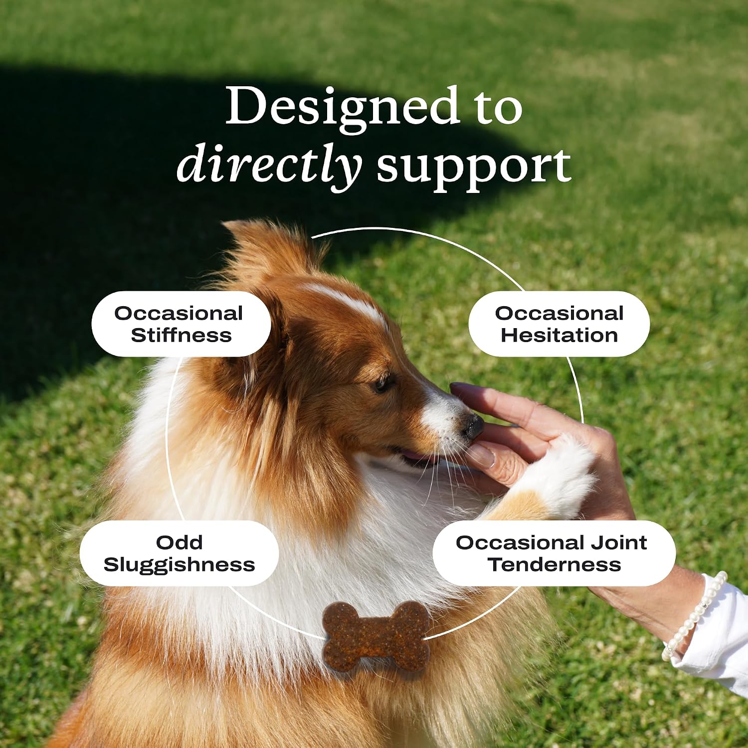 PetLab Co. – Breath & Joint Bundle: Dental Powder for an Effortless Clean in 1 Scoop for Large Dogs & Joint Care Chews for Dogs Supporting Mobility & Occasional Joint Stiffness