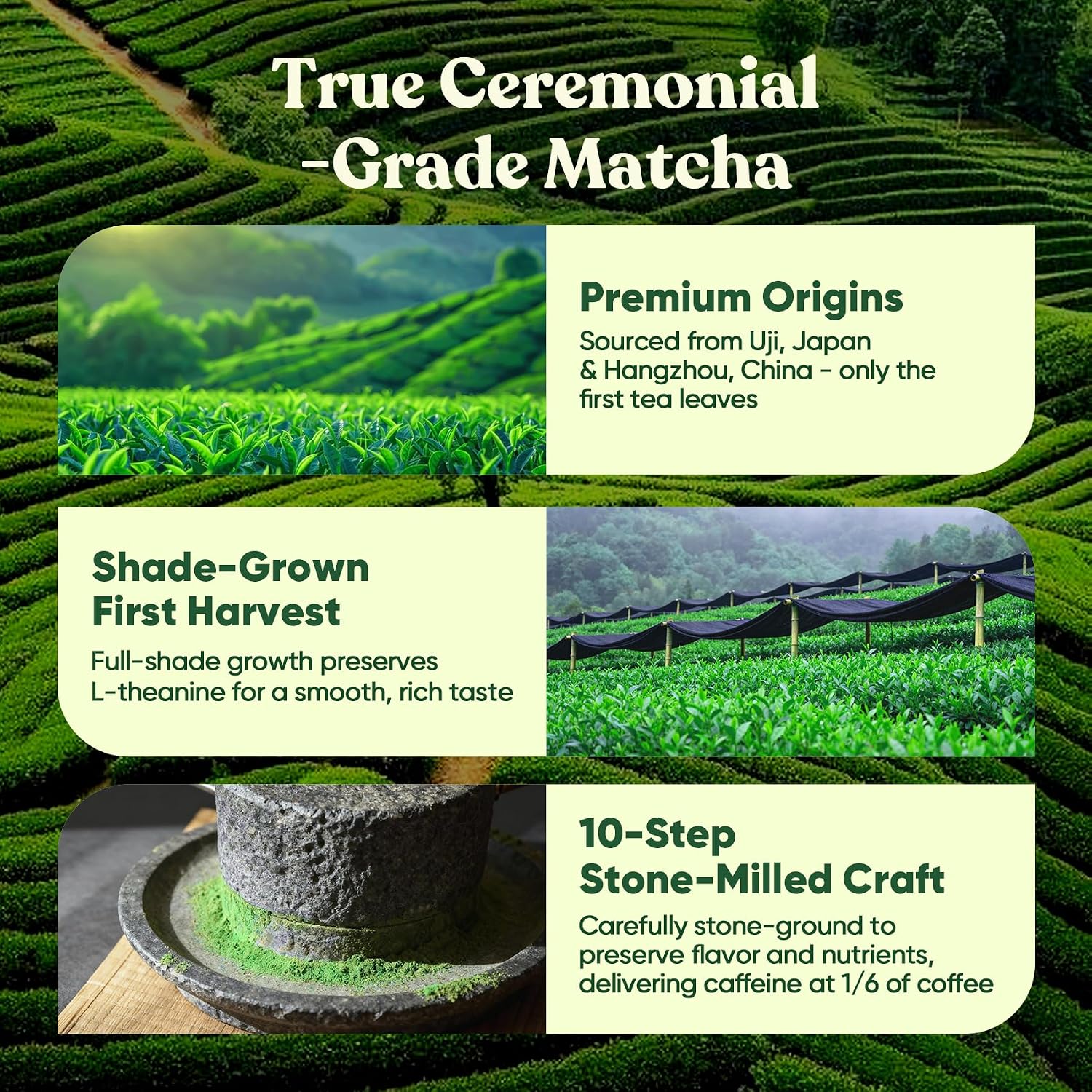 Venture Pal Ceremonial Grade Mushroom Matcha Powder + Venture Pal Calming Powdered Drink Mix - Energy, Relax & Focus - Non GMO & Vegan