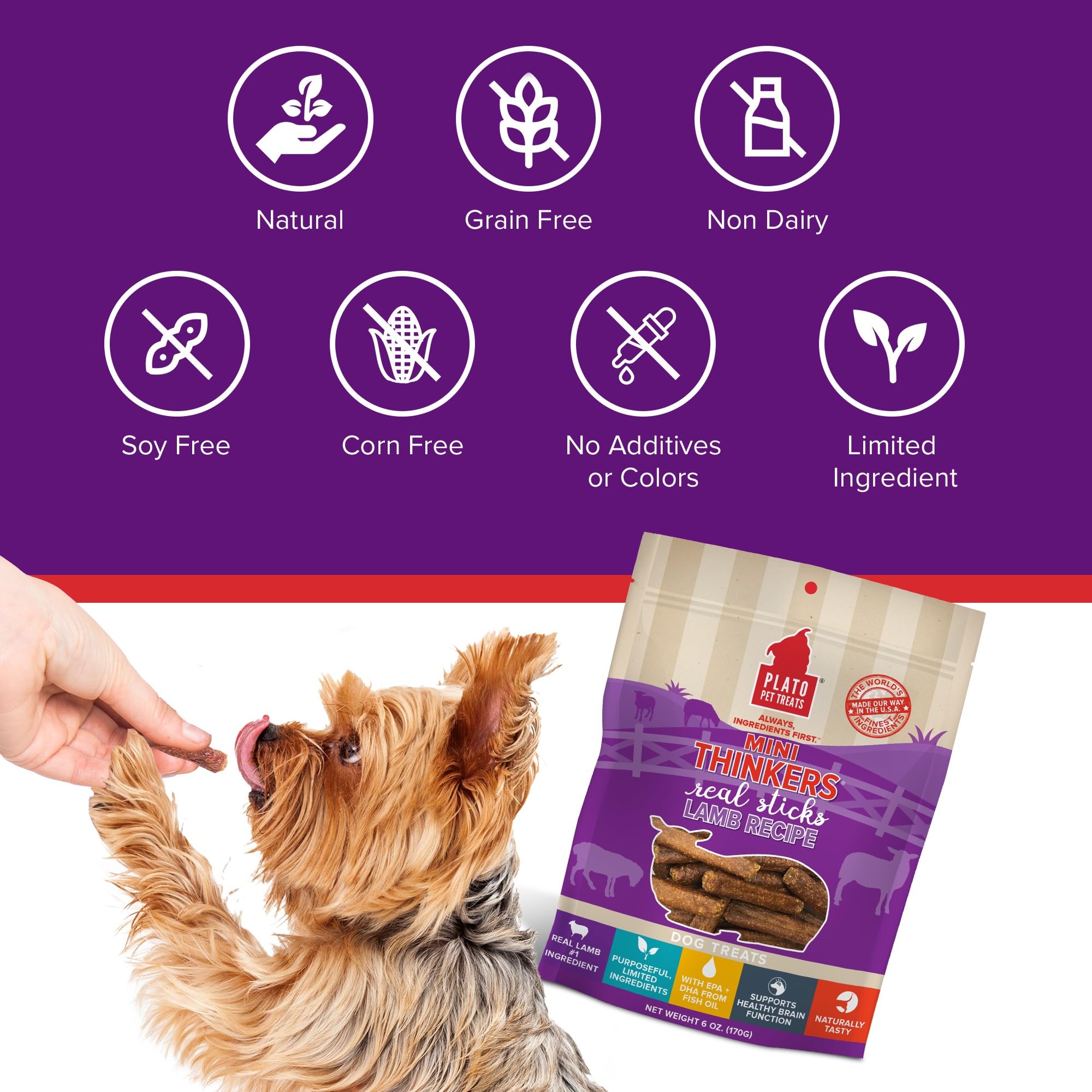 Plato Meat Sticks Salmon Dog Treats, Air-Dried High-Protein Soft Chews with Omega Fish Oil (EPA & DHA), 10 oz
