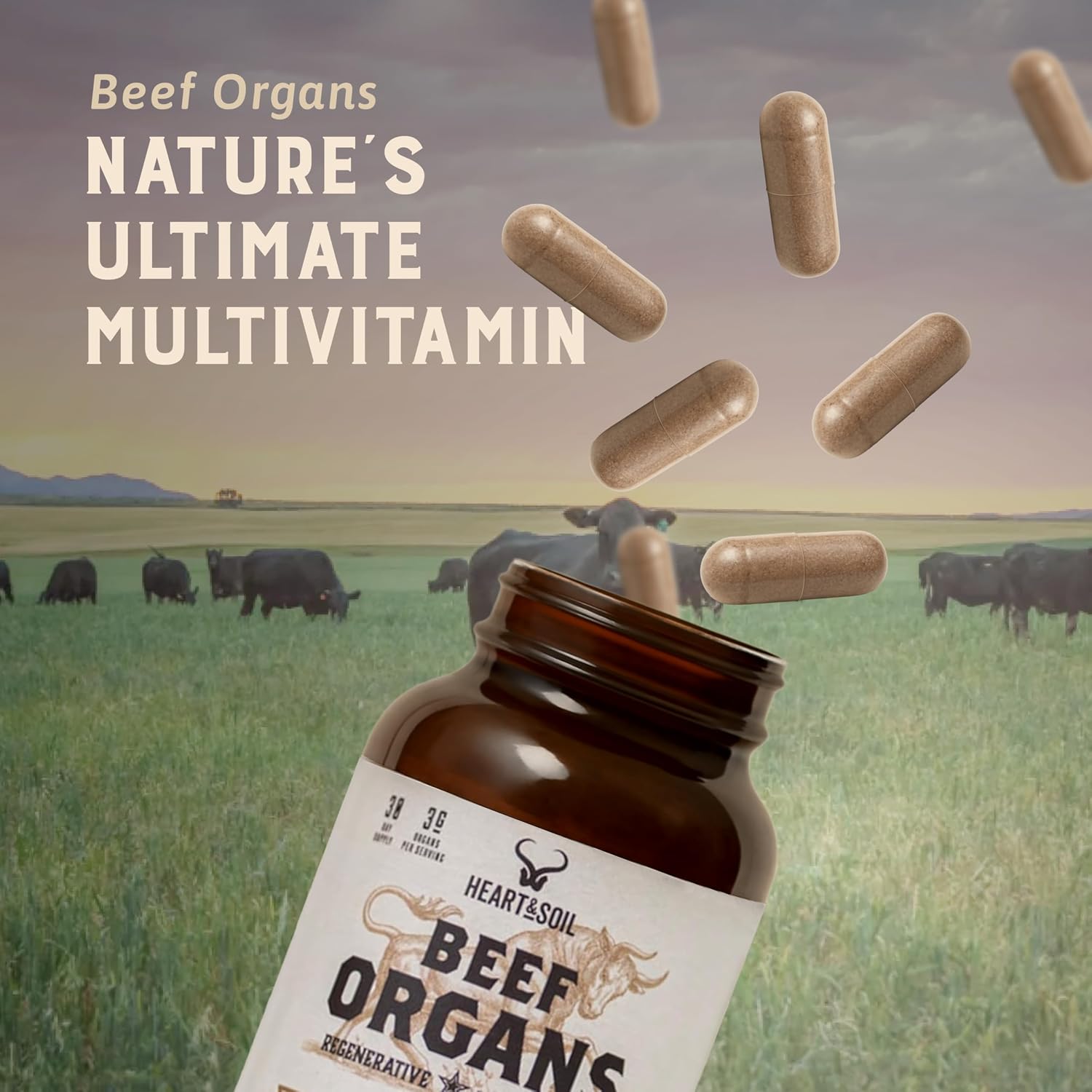 HEART & SOIL Beef Organs Supplement, 180 Capsules | 100% grass fed & finished from regenerative cattle with liver, heart, kidney, pancreas & spleen. 3000mg formula.