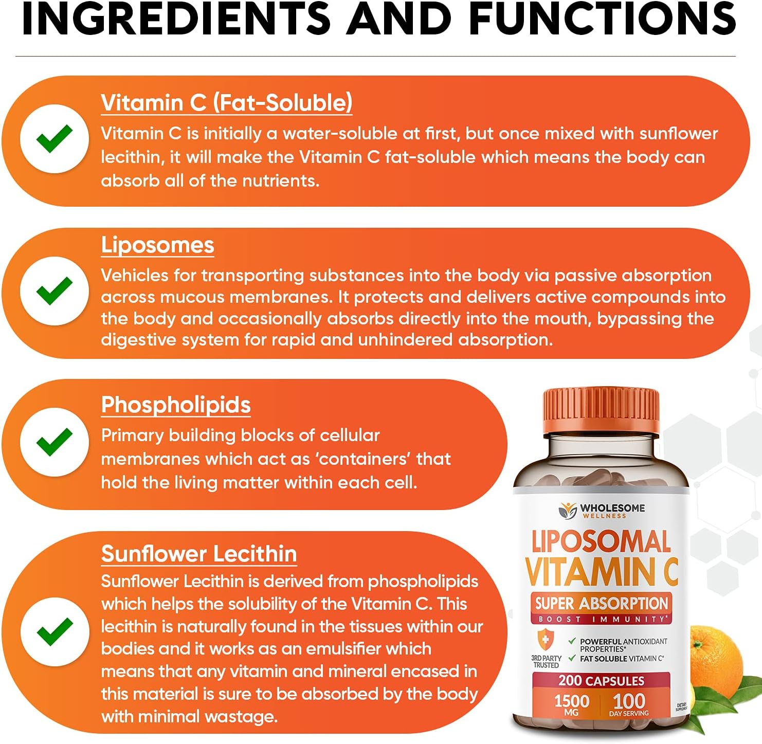 Wholesome Wellness Organic Probiotics 100 Billion CFU, Dr Formulated for Women and Men + Liposomal Vitamin C Capsules (200 Pills 1500mg Buffered) High Absorption VIT C Bundle