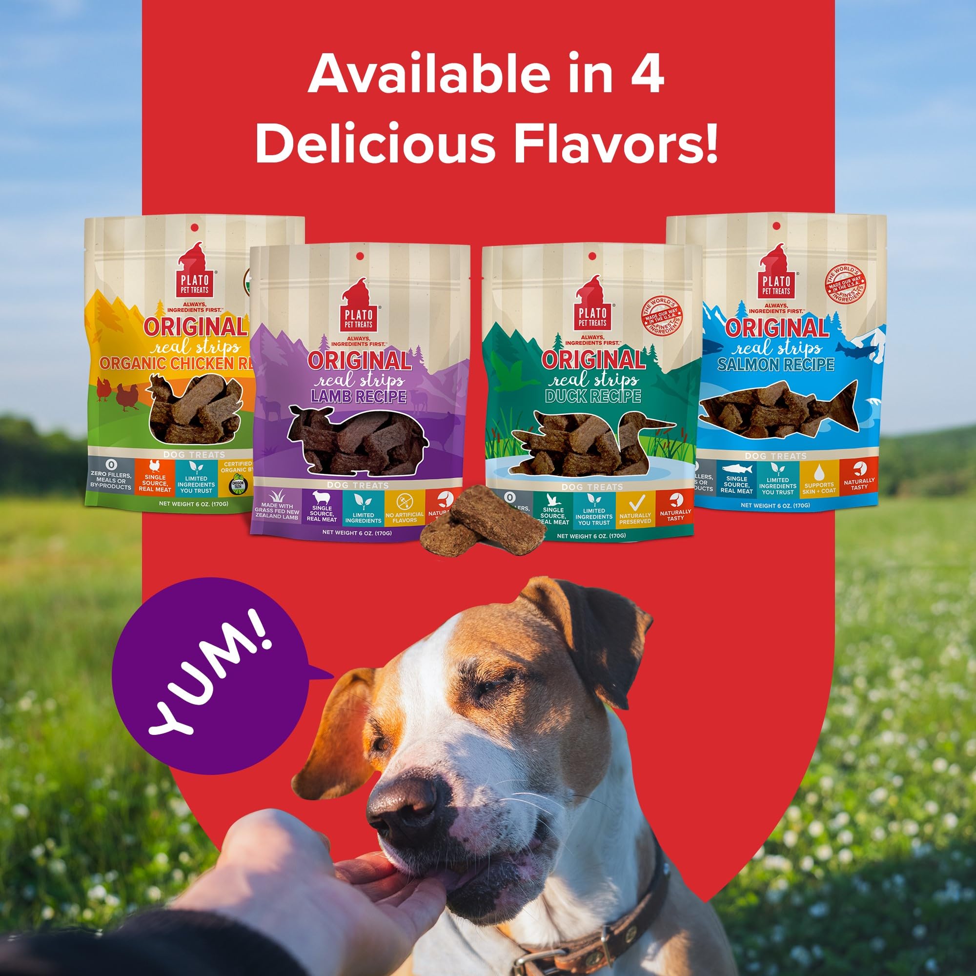 Plato Real Strips Salmon Recipe Dog Treats, Air-Dried High-Protein Soft Strips, Omega-Rich Skin & Coat Support, 18 oz