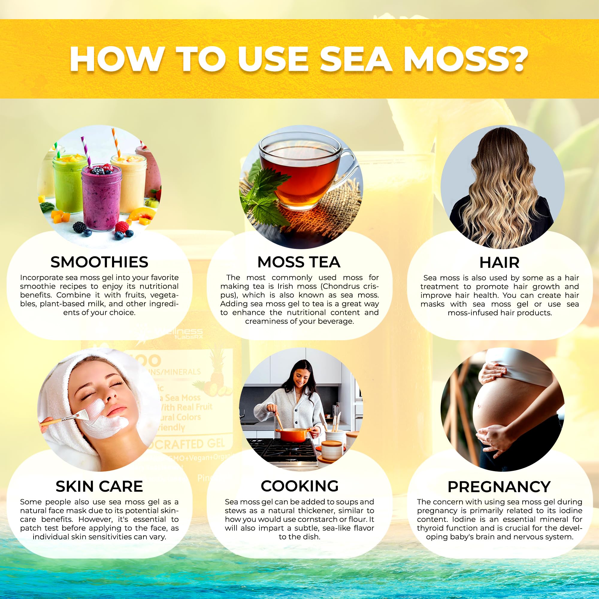 WELLNESS LABSRX Irish Sea Moss Gel Raw - Wildcrafted Superfood Seamoss Gel - Pineapple Mango Flavor, Vitamin and Mineral-Rich from Pristine Caribbean Waters - 10 oz.