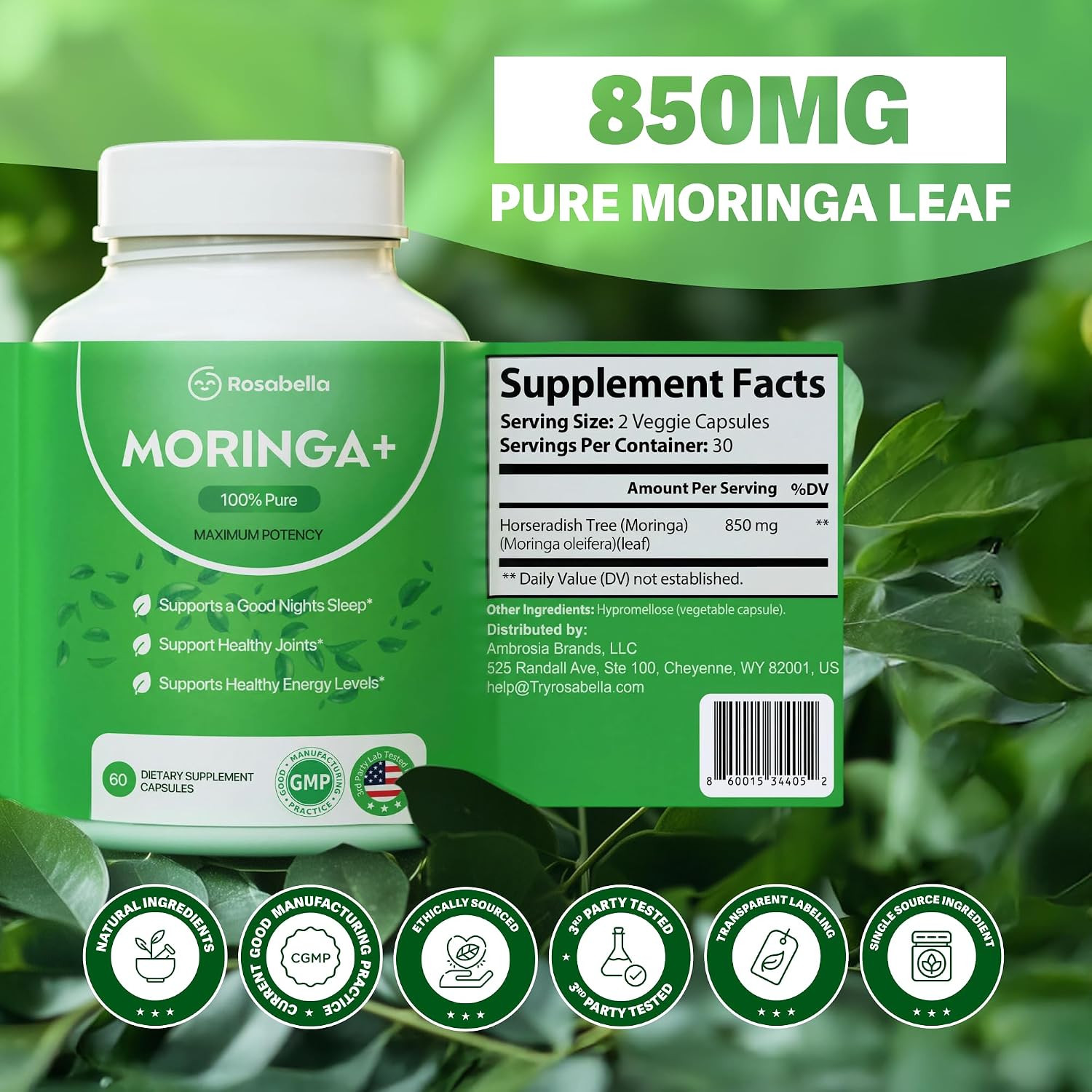 Rosabella Moringa+ Capsules - Pure Moringa Powder, Energy, Skin, Immune & Gut Health Superfood, Rich in Antioxidants, Essential Vitamins & Amino Acids, Natural Green Superfood Supplement - 60 Count