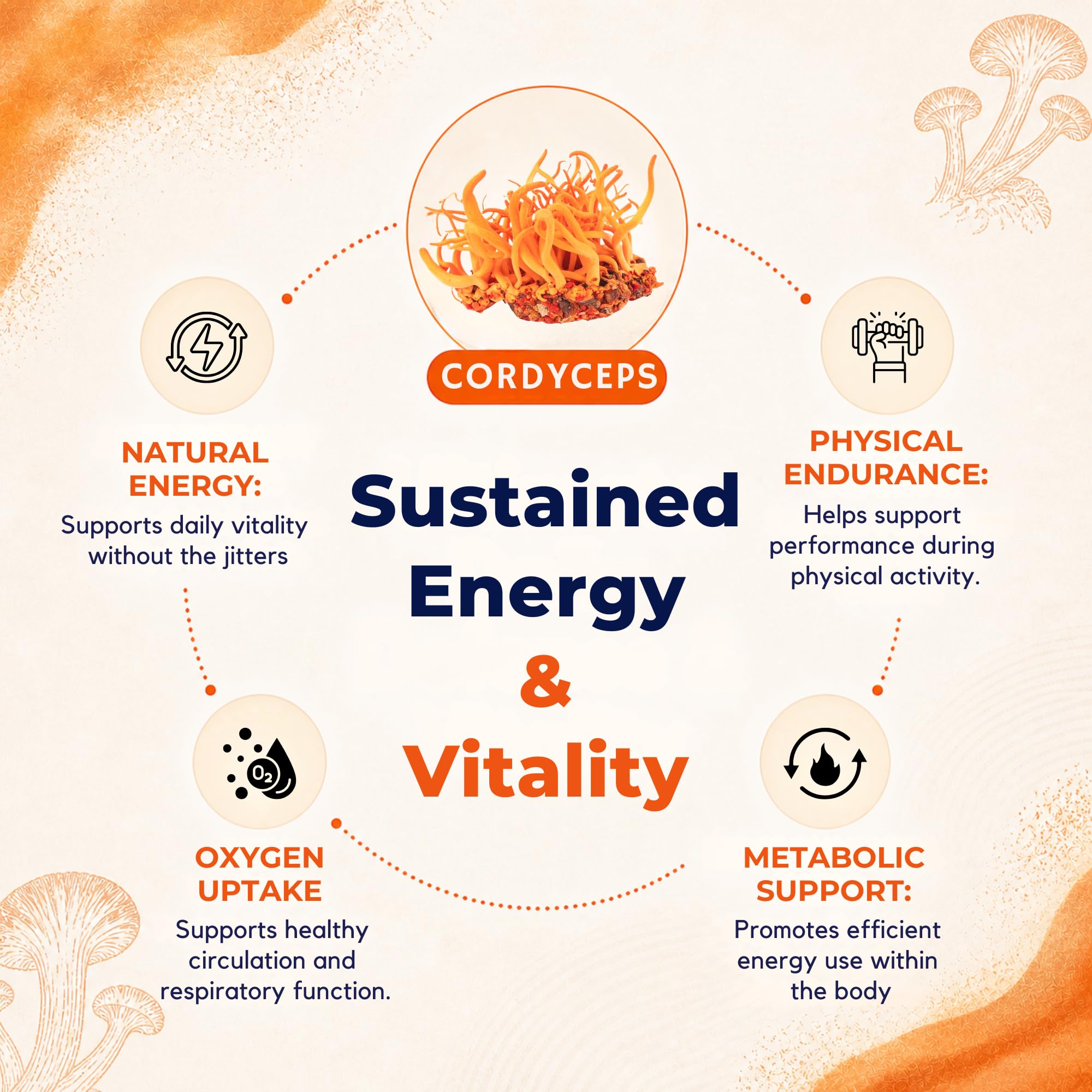 8-Mushroom Extract Powder by Malama, Organic Body Mushroom Blend Featuring Lion's Mane, Reishi, Cordyceps, Chaga, Turkey Tail, Superfood Adaptogenic