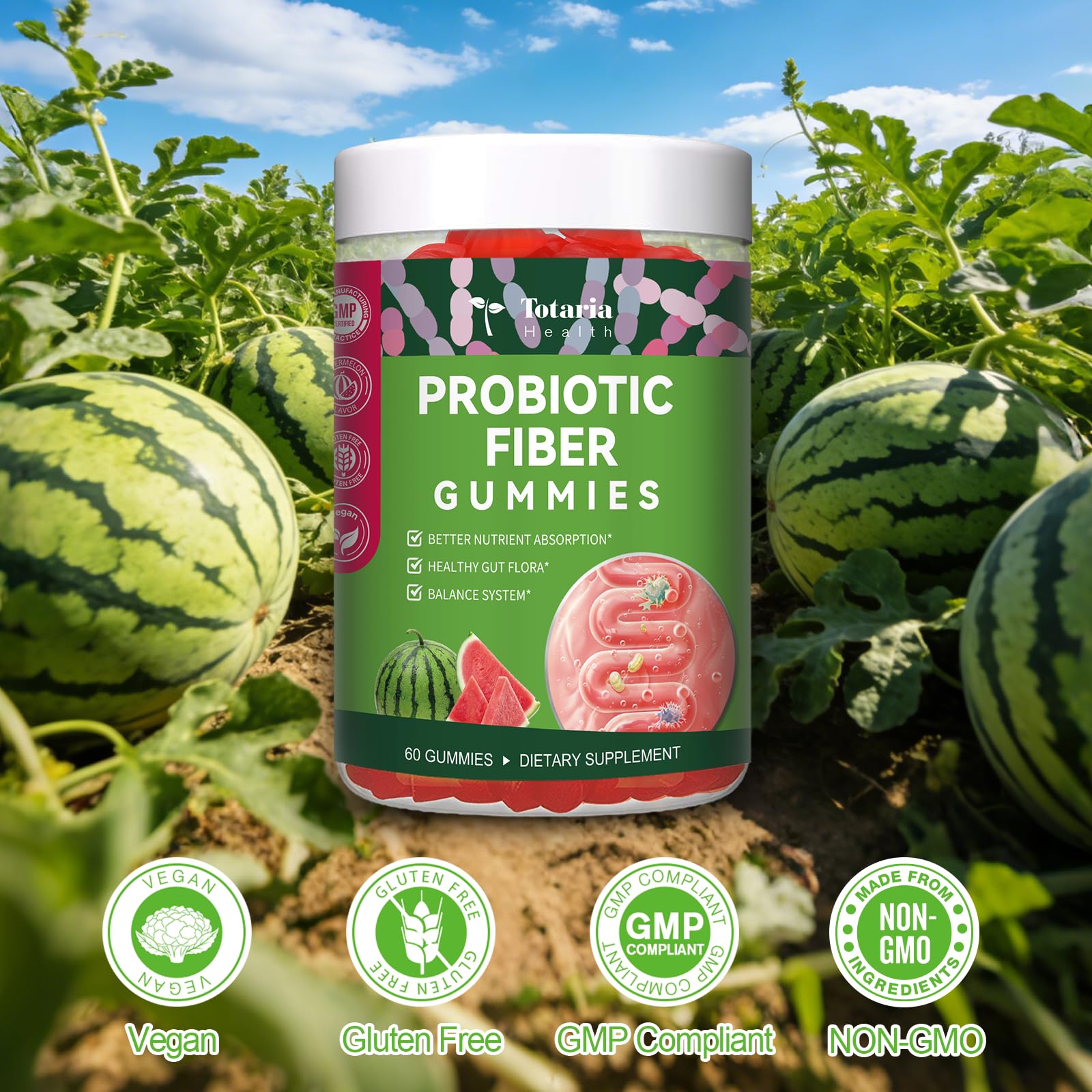 9-in-1 Probiotic Prebiotic Fiber Gummies for Adults & Teens, Sugar-free Fiber Supplement with Psyllium Husk, FOS, Inulin, ACV & 5 Billion CFU Bacillus Coagulans - PrimeBioHealth - canada supplements