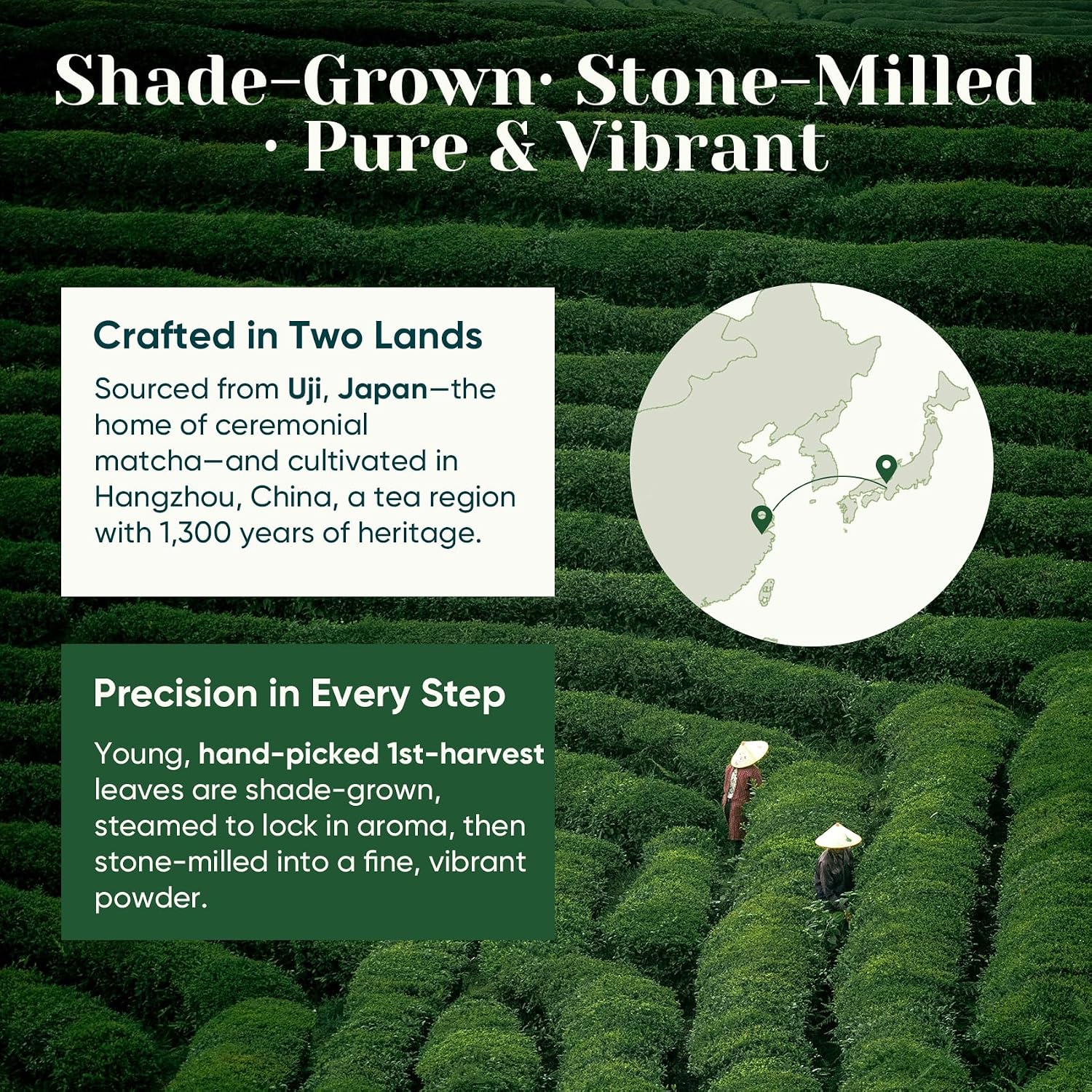 Ceremonial Grade Matcha Green Tea Powder, First Harvest, Shade Grown, 30g | 100% Pure Matcha Powder Ceremonial Grade, w/ No Additives, Unsweetened, Vegan, Gluten-Free, Smooth Flavor for Tea and Lattes