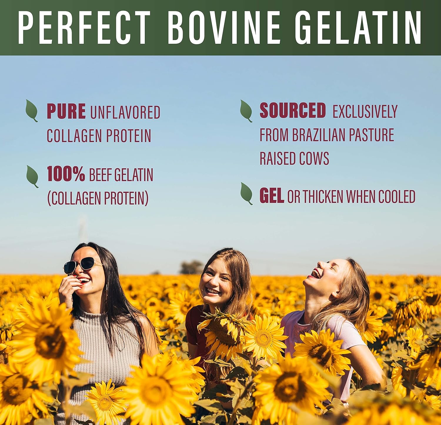 Perfect Bovine Gelatin 100% Grass Fed Beef Gelatin Powder (Cooked Collagen), Brazilian Pasture Raised ~ Large 23.3oz. 60 Serving Container ~ No Fillers, GMOs or Pesticides
