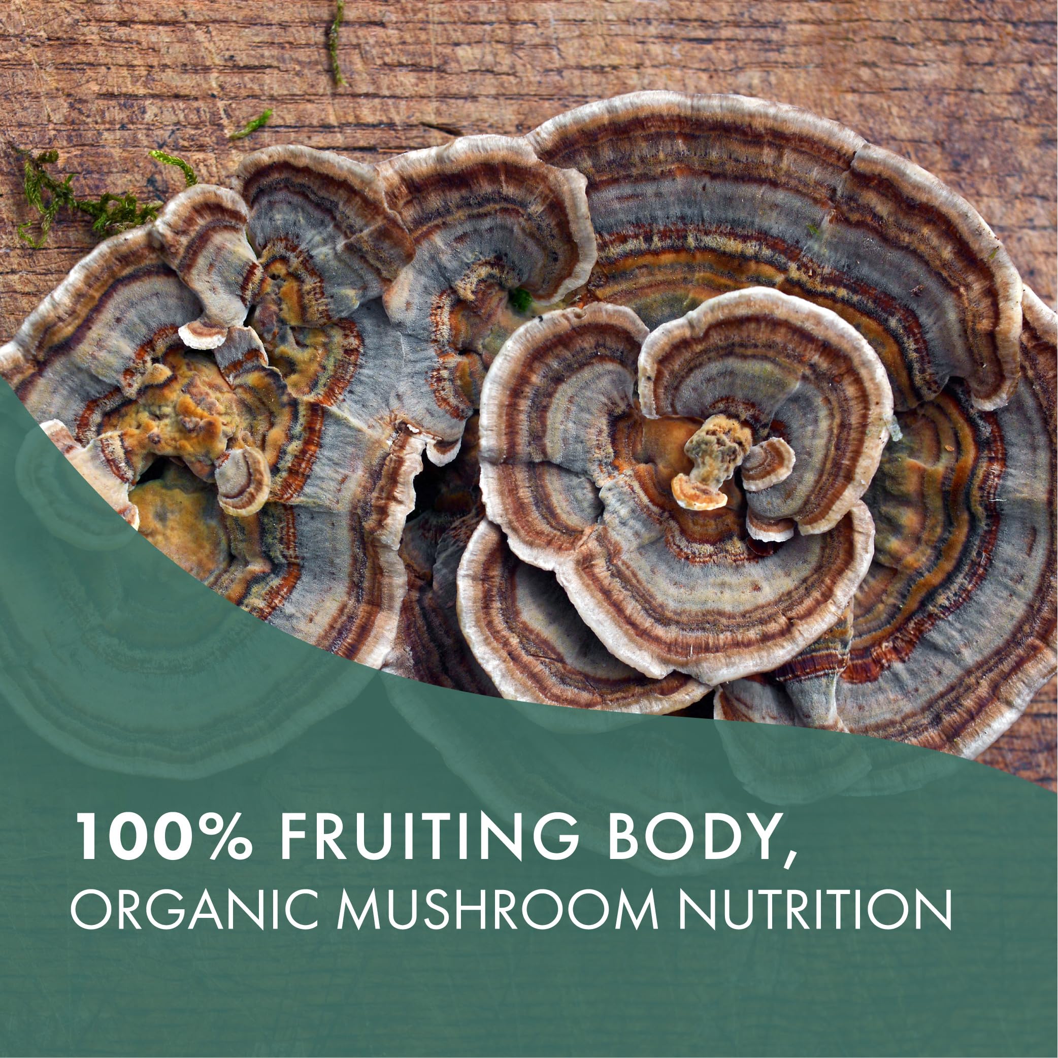 PURE ESSENCE LABS Organic Turkey Tail 4X Mushroom Extract, Vegan Mushrooms Supplement for Immune Building, 30 Capsules