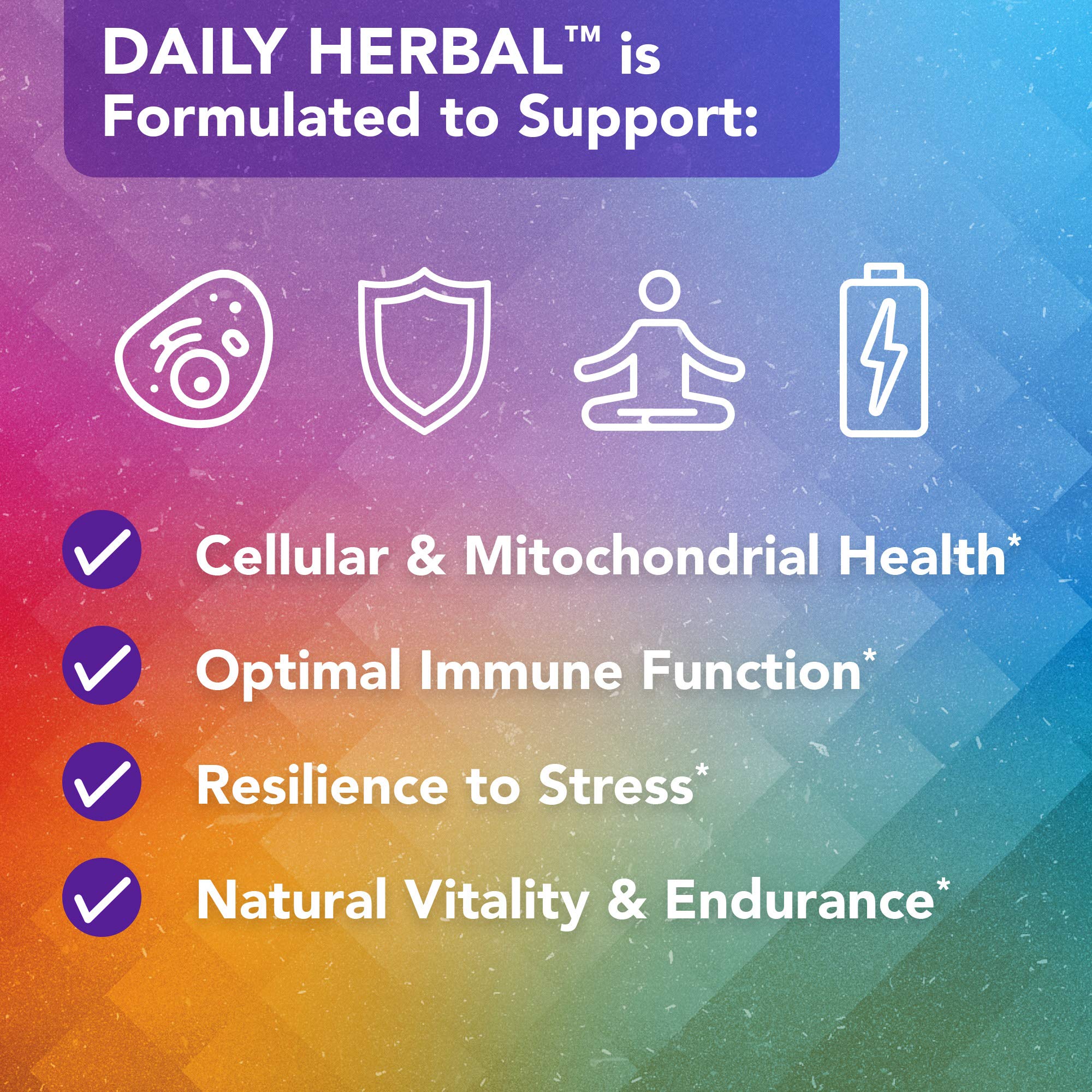 Vital Plan Daily Herbal Supplement by Dr. Bill Rawls – Herbal Immunity Booster for Immune Support, Microbiome Balance & Cell Health — Reishi Mushroom, Turmeric & Rhodiola Vital PlanBuy Supplements Australia