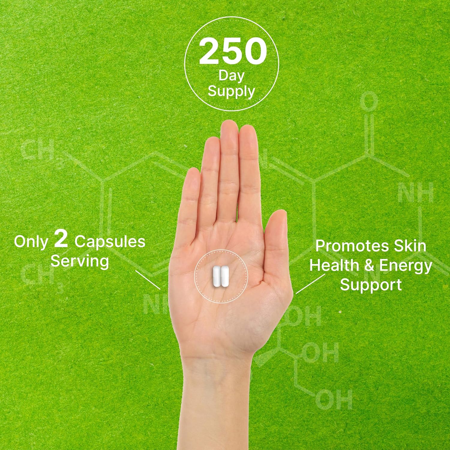 Vitamin B3 Nicotinamide 1,000mg Per Serving – 500 Capsules, Flush Free Niacin, Essential B3 – Supports Healthy Skin & Energy Production – Non-GMO
