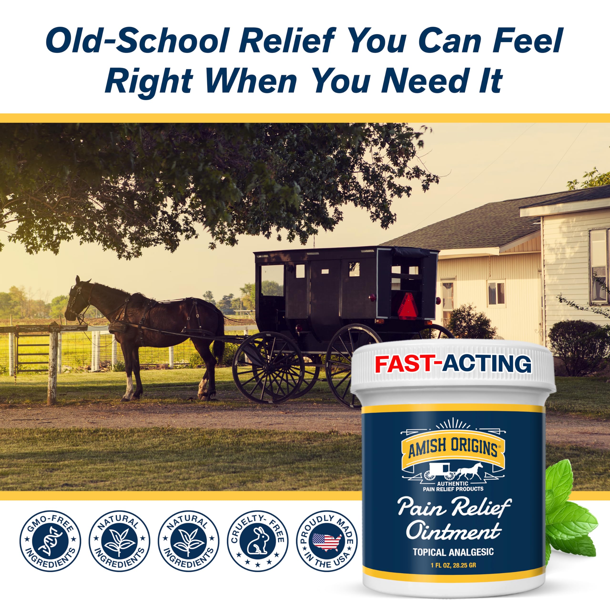 Amish Origins Pain Relief Ointment 4 oz Maximum Strength All Natural Discomfort Reliever for Joint, Muscle, Knee, Back, Neuropathy