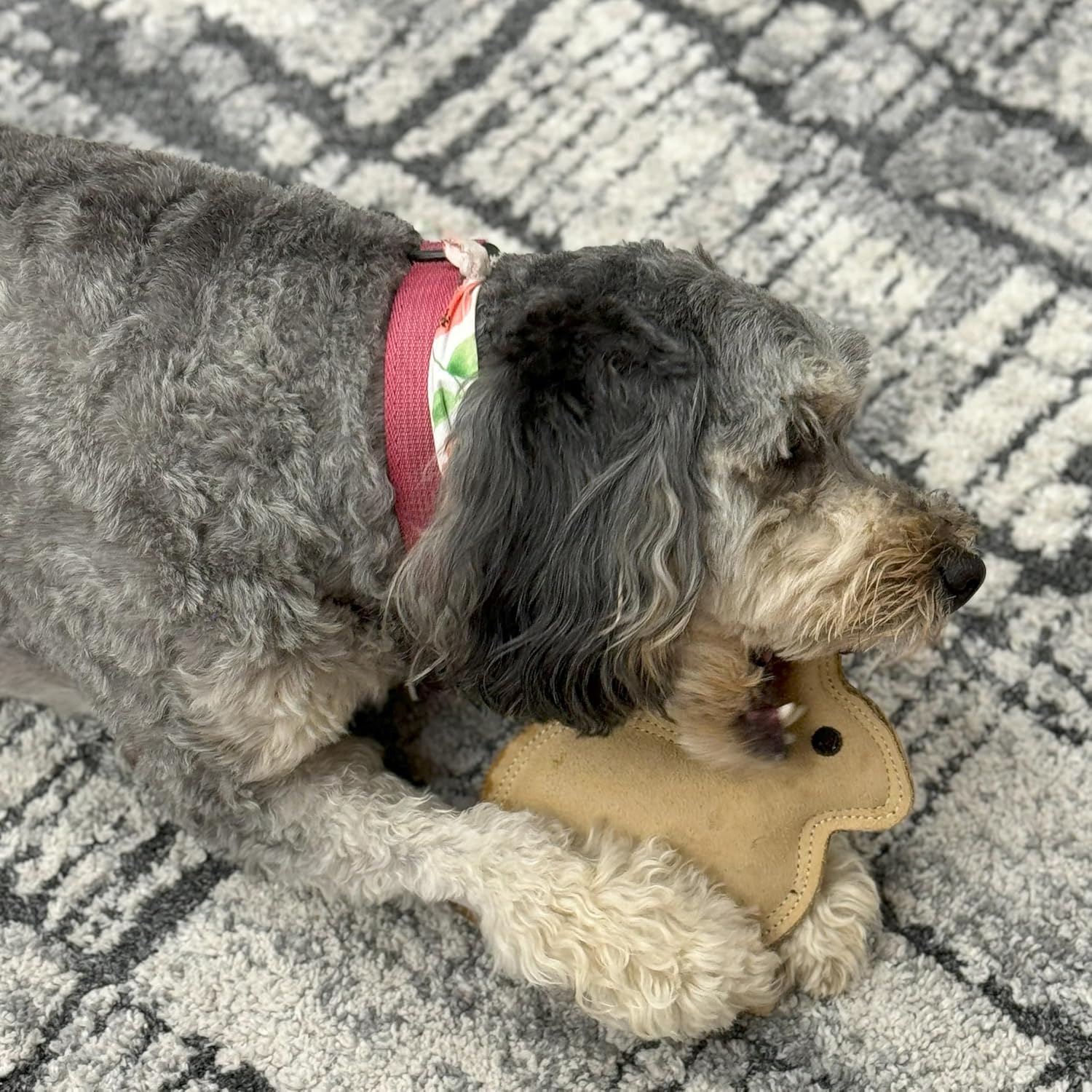 SPOT Dura-Fused Leather Rabbit Dog Toy – Durable Real Leather & Jute Chew Toy with Squeaker, Double-Stitched for Moderate Chewers, Small & Medium Dogs, 7.5in