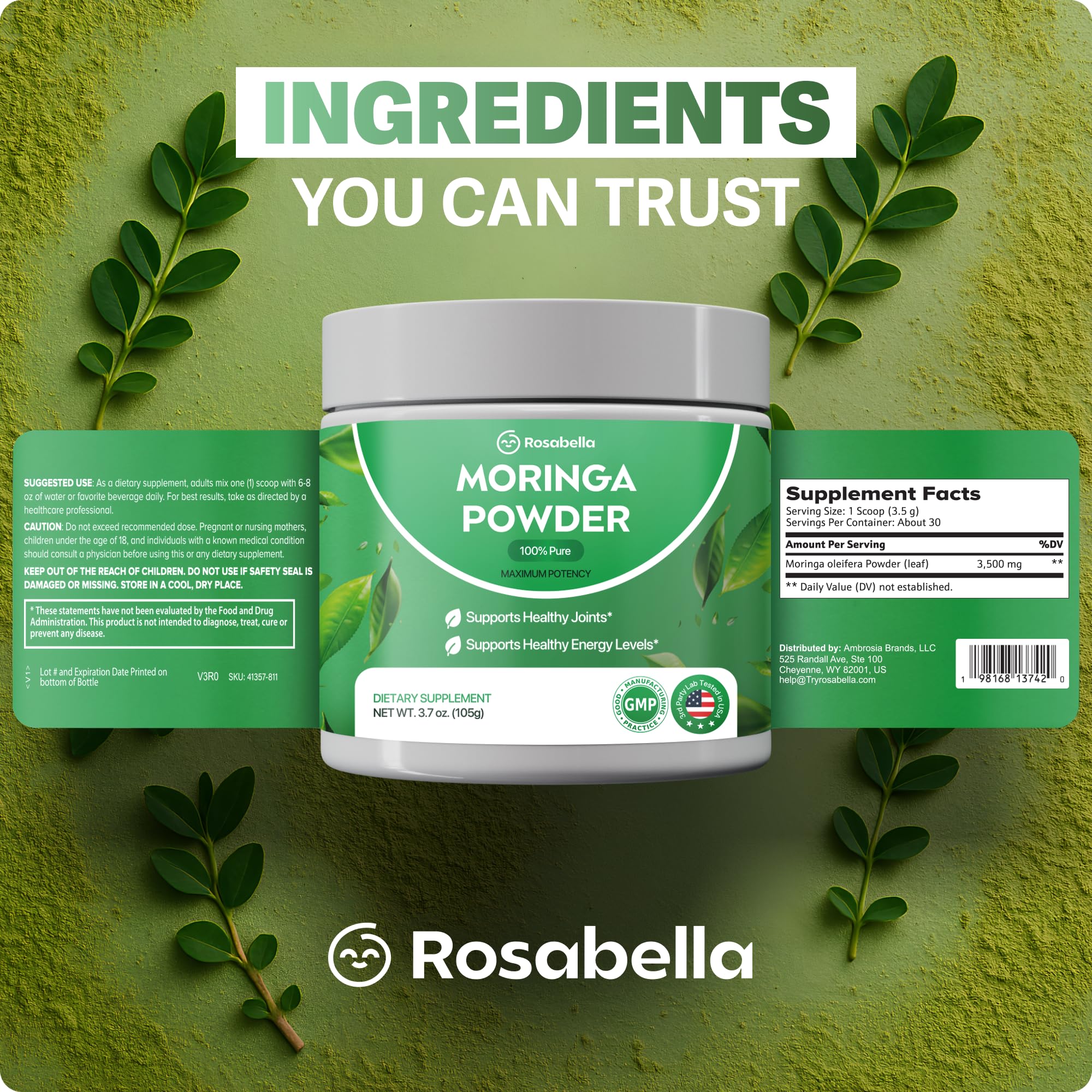 Rosabella Pure Moringa Powder - Energy, Skin, Immune & Gut Health Superfood, Rich in Antioxidants, Essential Vitamins & Amino Acids, Natural Green Superfood Supplement (3.7oz (Pack of 1))