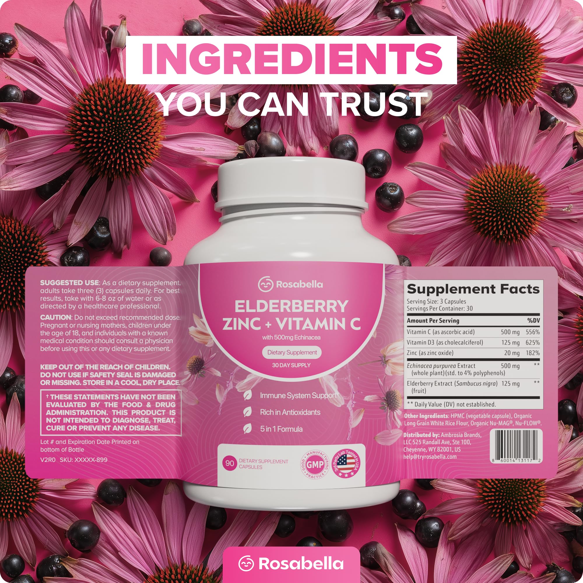 Rosabella Elderberry, Zinc & Vitamin D3 Capsules – Elderberry Supplement with Echinacea, Vitamin C & Zinc, Immune Support Supplement for Daily Wellness, Vegan Capsules – 90 Count (Pack of 1)