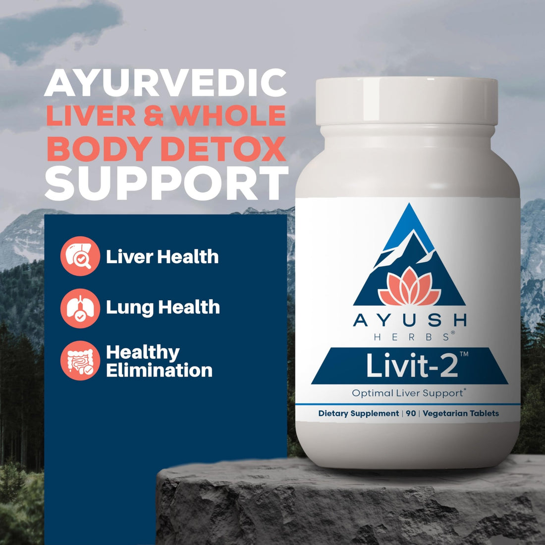 Ayush Herbs Livit-2 - Liver Care, Liver Support Supplement for Women & Men with Andrographis & Picrorhiza, Liver Pills Made with Organic Ingredients - 90 Servings - PrimeBioHealth - canada supplements