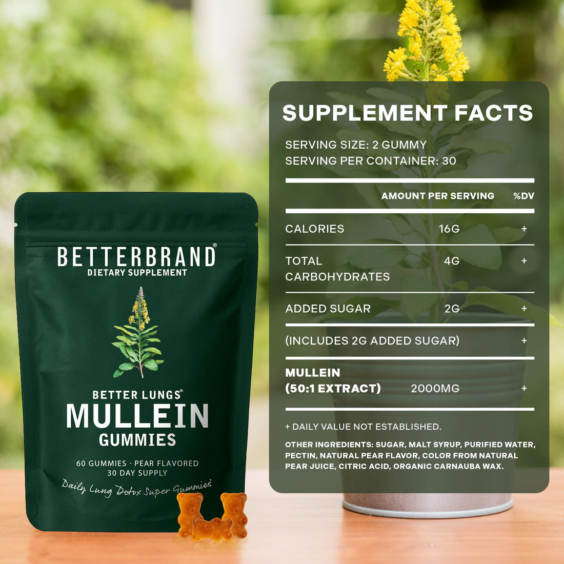 Betterbrand Mullein Chewable Gummies for Lung Cleanse and Detox, Respiratory Health Supplement, 1000mg Mullein Extract per Serving, 60 Gummies - PrimeBioHealth - canada supplements