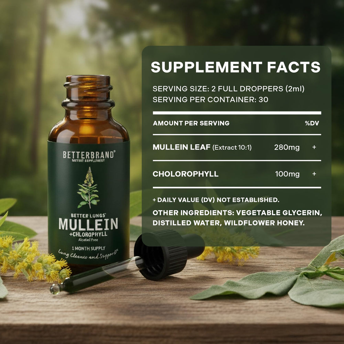 Betterbrand Mullein Drops for Lung Detox - Mullein Leaf Tincture with Chlorophyll - Helps Support Respiratory Health - PrimeBioHealth - canada supplements