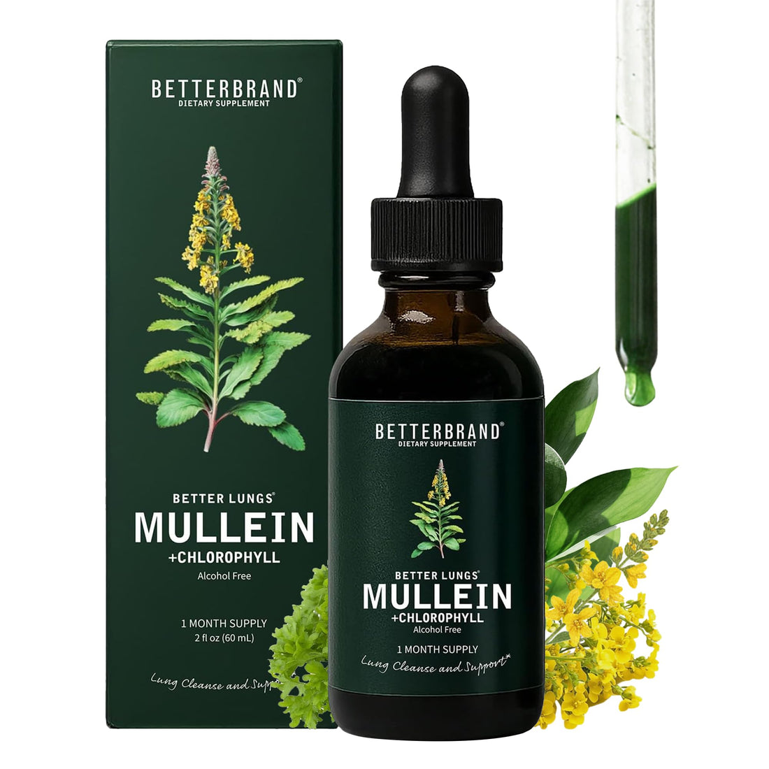 Betterbrand Mullein Drops for Lung Detox - Mullein Leaf Tincture with Chlorophyll - Helps Support Respiratory Health - PrimeBioHealth - canada supplements