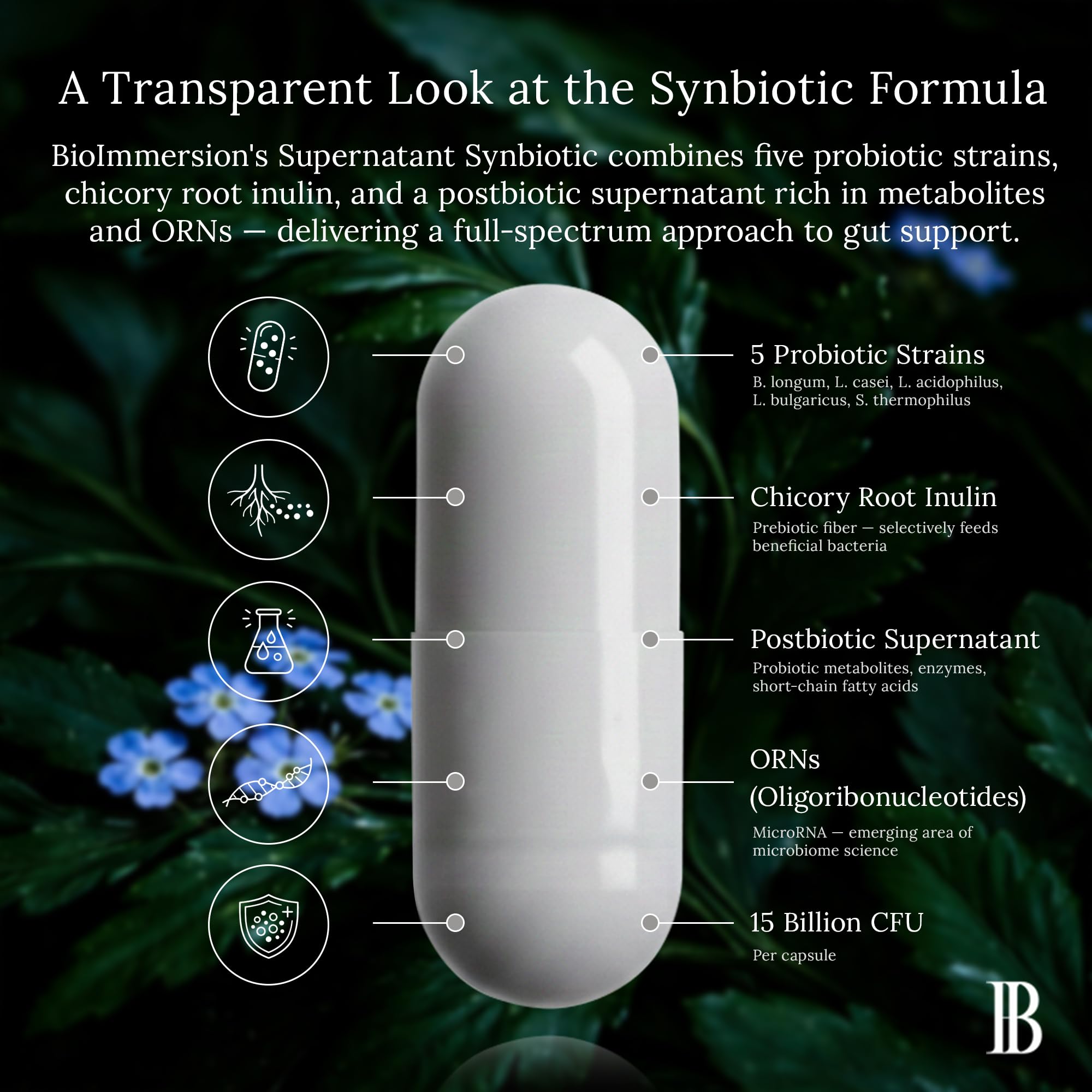 BioImmersion Supernatant Synbiotic - Prebiotic Probiotic Postbiotic - Eases Digestive Discomfort, Gut Imbalance & Yeast Overgrowth - Immune & Microbiome Support - PrimeBioHealth - canada supplements