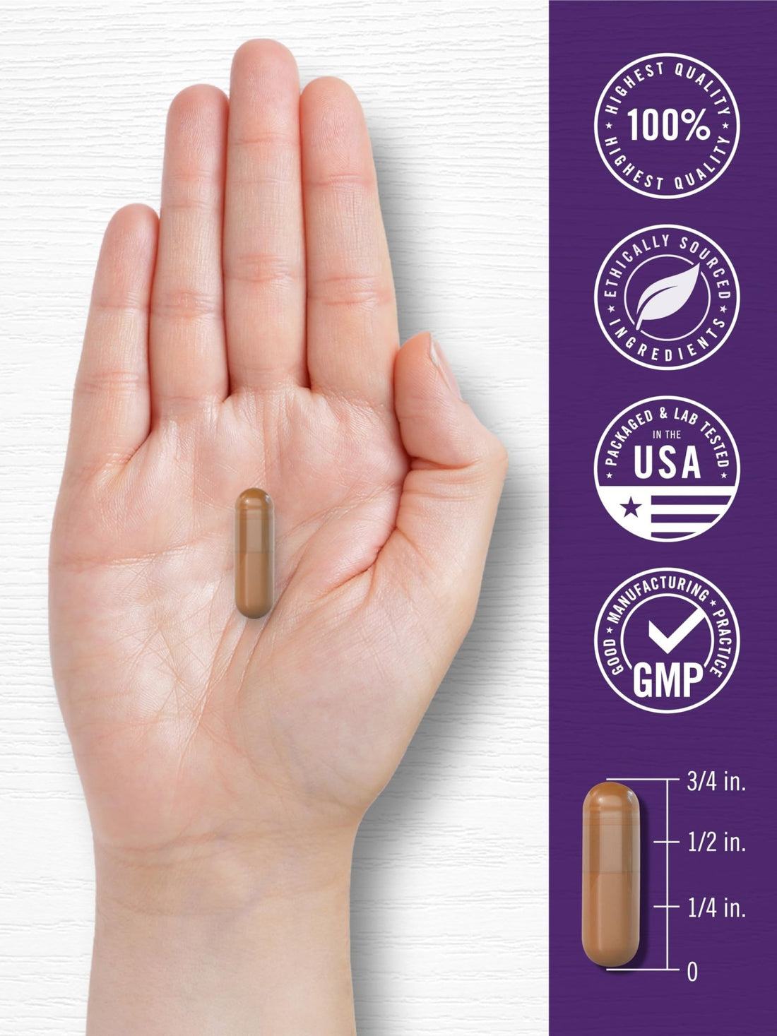 Carlyle Resveratrol Complex - 180 Capsules - Trans Resveratrol Supplement with Grape Seed Extract - Non GMO, Gluten Free - PrimeBioHealth - canada supplements