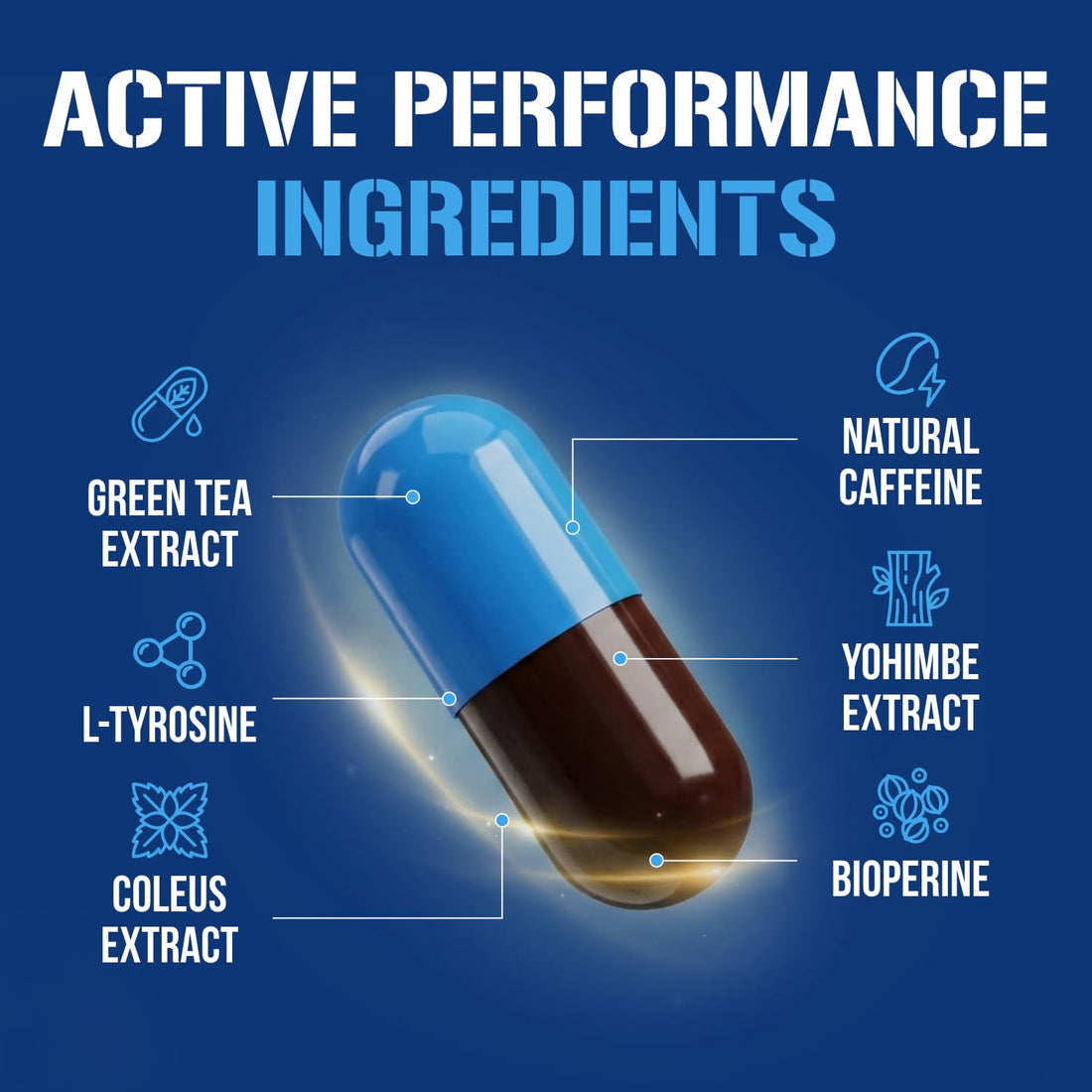 EVL Thermogenic Fat Burner Support - Fast Acting Weight Loss Energy and Appetite Support - Trans4orm Green Tea Supplement - PrimeBioHealth - canada supplements
