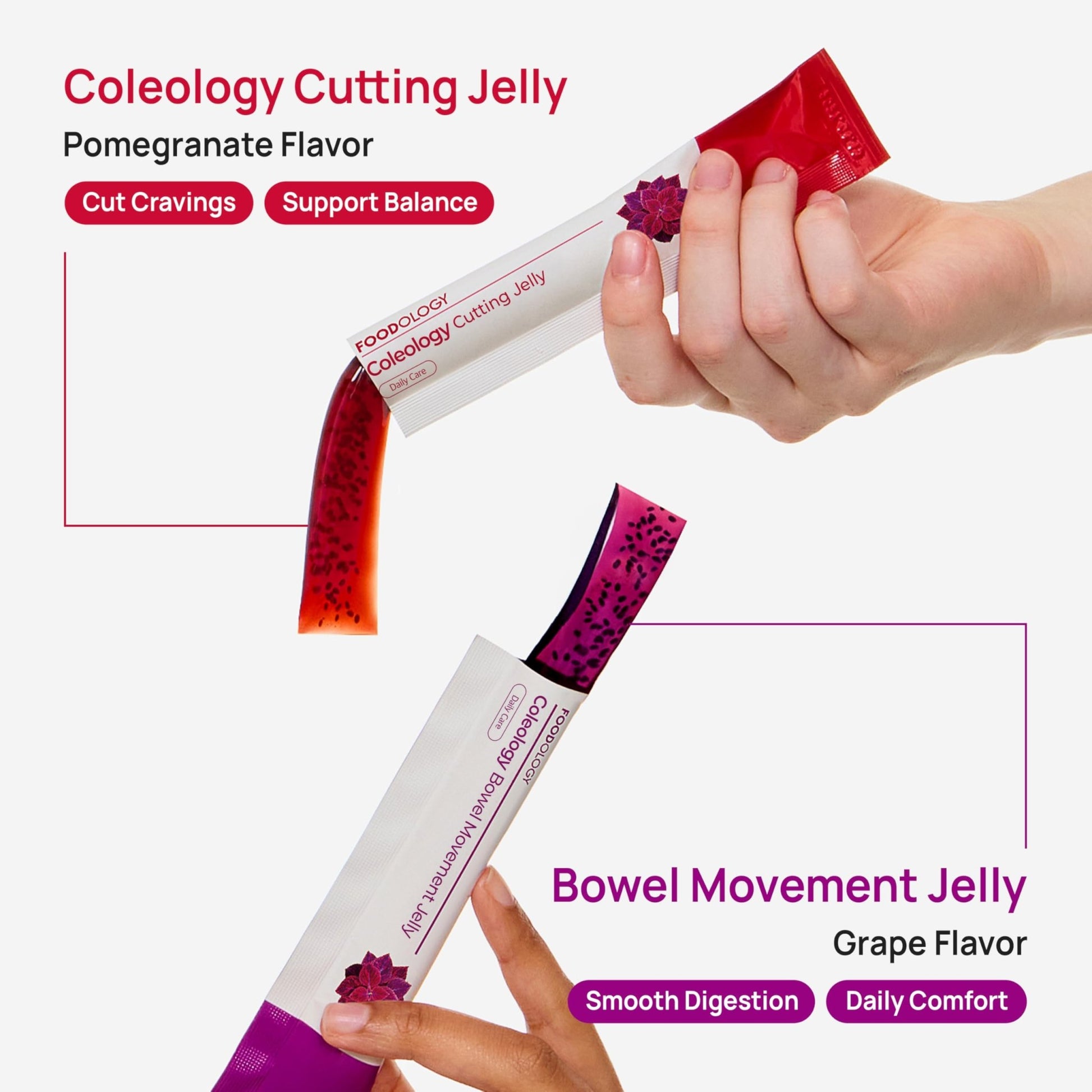 FOODOLOGY Coleology Bowel Movement Jelly (Grape & Prune) – Prebiotic Fiber Supplement for Gut Health & Daily Regularity, Chia Seeds, Korean Supplement – 10 Sticks - PrimeBioHealth - canada supplements