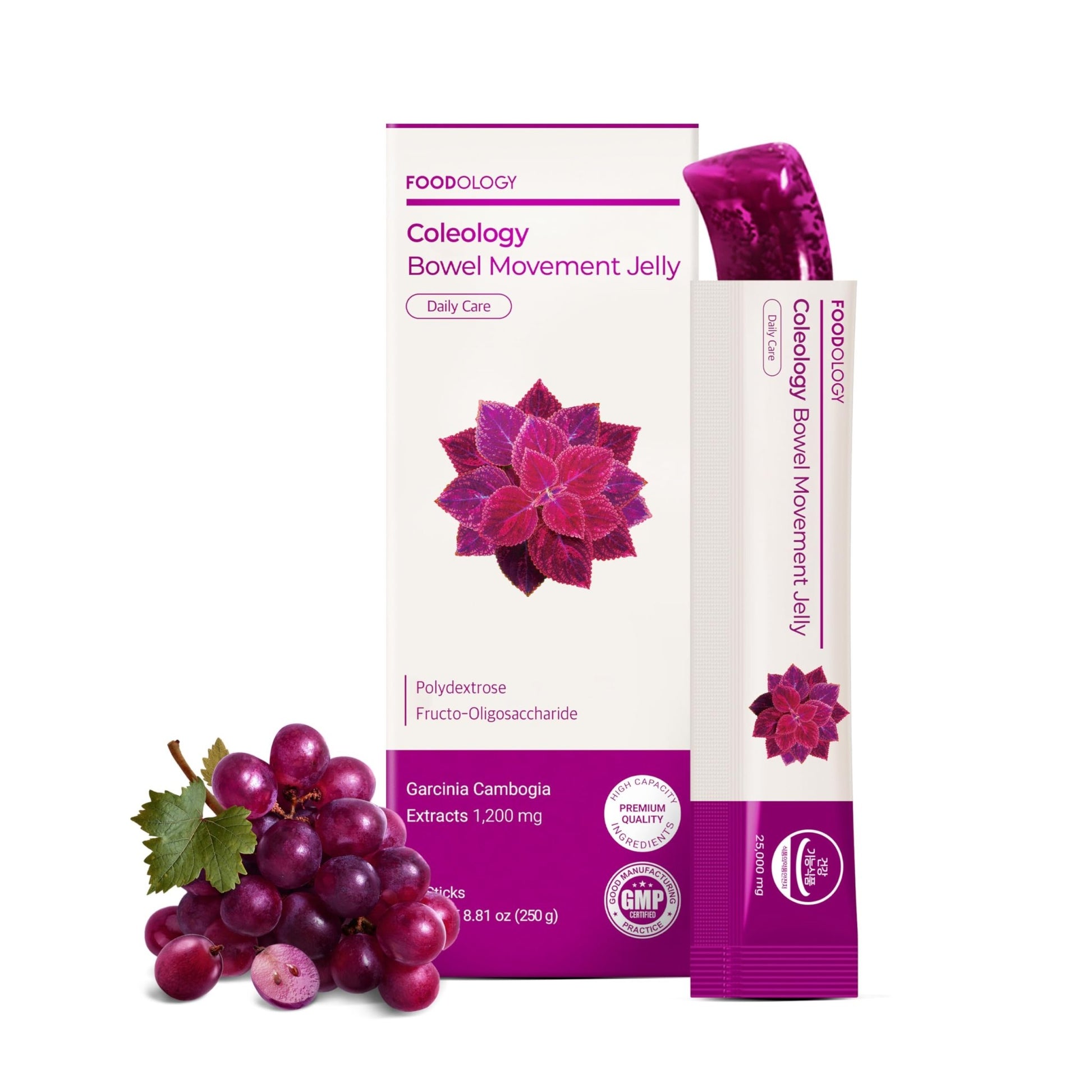 FOODOLOGY Coleology Bowel Movement Jelly (Grape & Prune) – Prebiotic Fiber Supplement for Gut Health & Daily Regularity, Chia Seeds, Korean Supplement – 10 Sticks - PrimeBioHealth - canada supplements