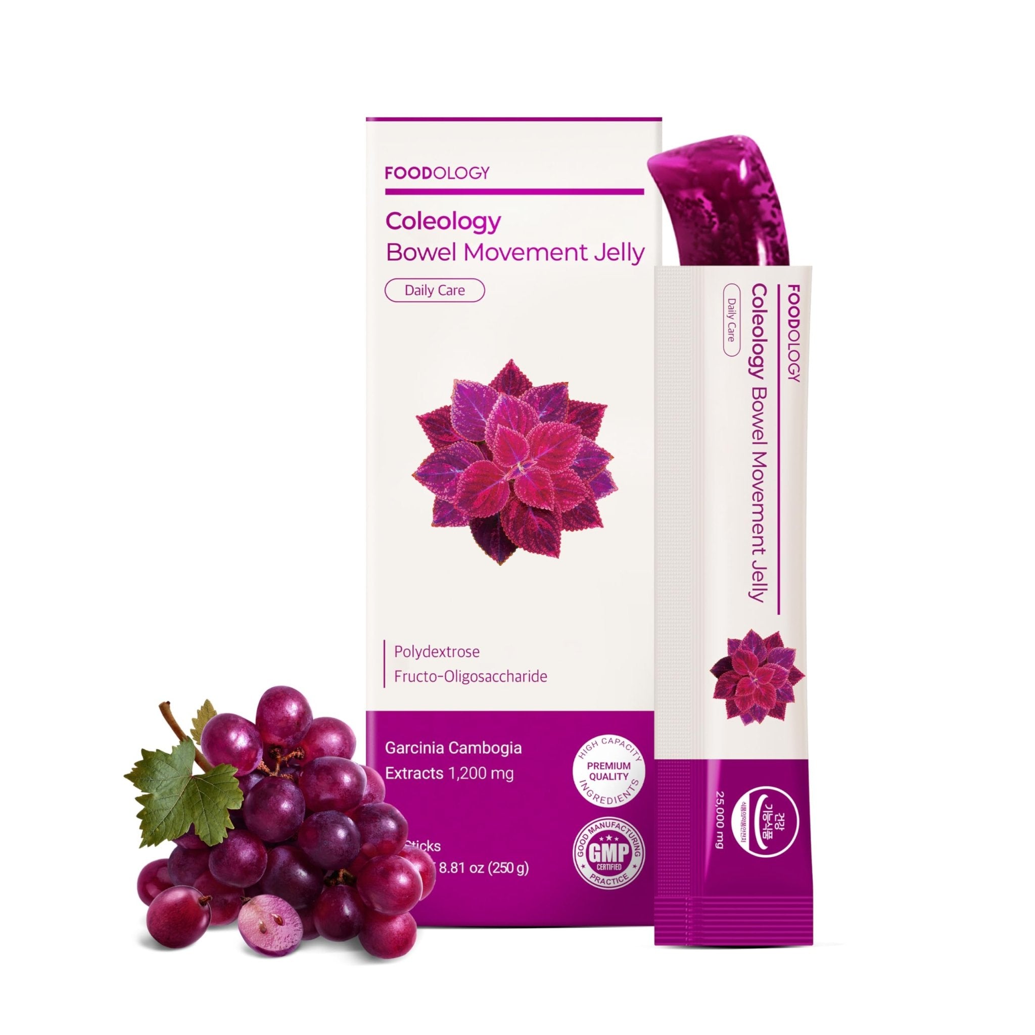 FOODOLOGY Coleology Bowel Movement Jelly (Grape & Prune) – Prebiotic Fiber Supplement for Gut Health & Daily Regularity, Chia Seeds, Korean Supplement – 10 Sticks - PrimeBioHealth - canada supplements
