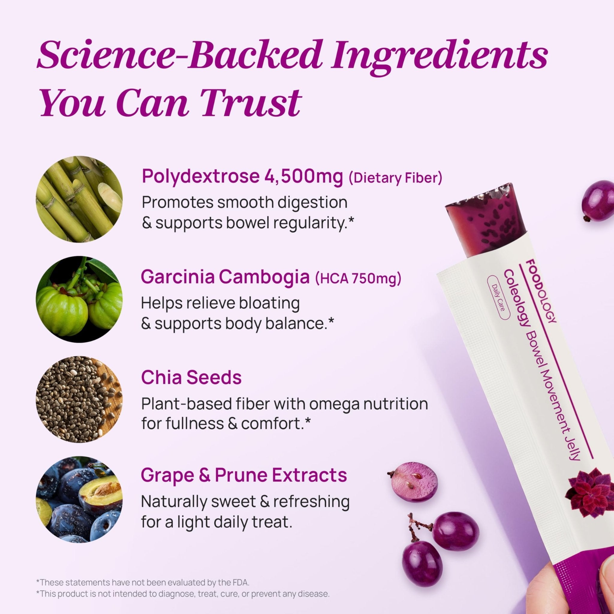 FOODOLOGY Coleology Bowel Movement Jelly (Grape & Prune) – Prebiotic Fiber Supplement for Gut Health & Daily Regularity, Chia Seeds, Korean Supplement – 10 Sticks - PrimeBioHealth - canada supplements