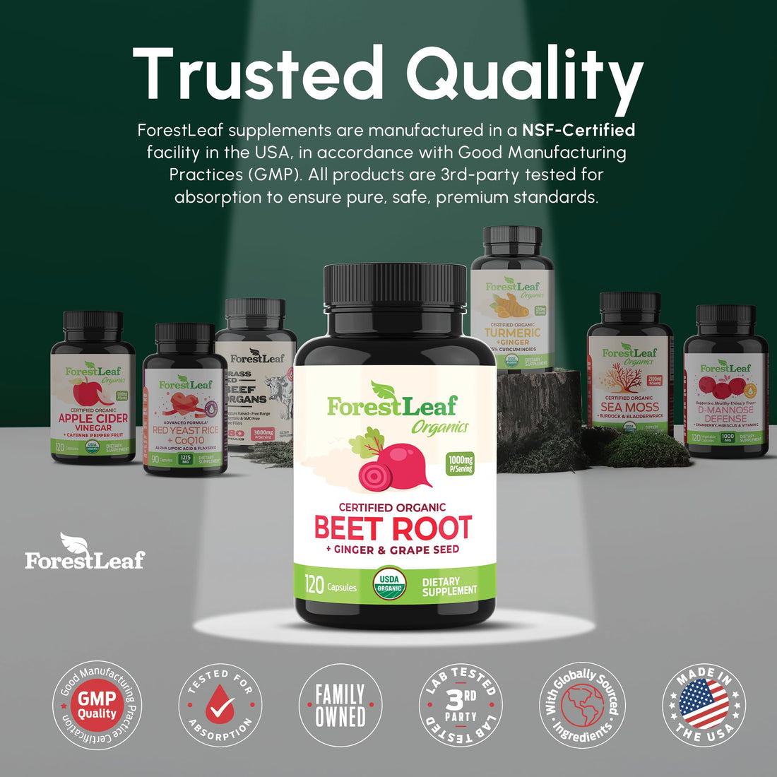 ForestLeaf USDA Organic Beet Root Capsules - Beetroot Supplement 1000mg 20:1 Extract w/Ginger Grape Seed - Support Blood Pressure, Nitric Oxide - PrimeBioHealth - canada supplements