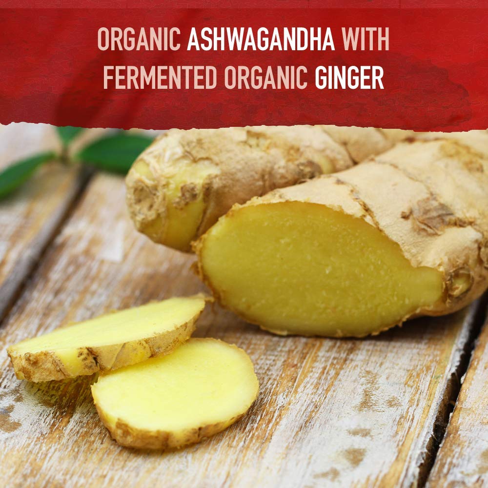 Garden of Life Organic Ashwagandha Supplement with Probiotics & Ginger - Stress, Mood & Energy Support, Vegan, Gluten Free - PrimeBioHealth - canada supplements