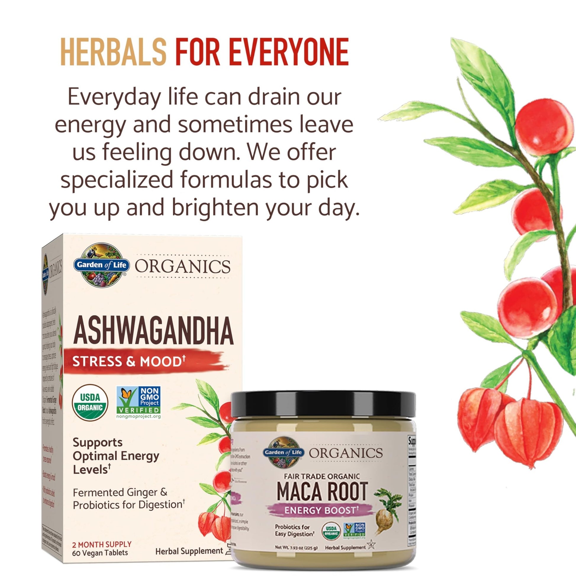 Garden of Life Organic Ashwagandha Supplement with Probiotics & Ginger - Stress, Mood & Energy Support, Vegan, Gluten Free - PrimeBioHealth - canada supplements