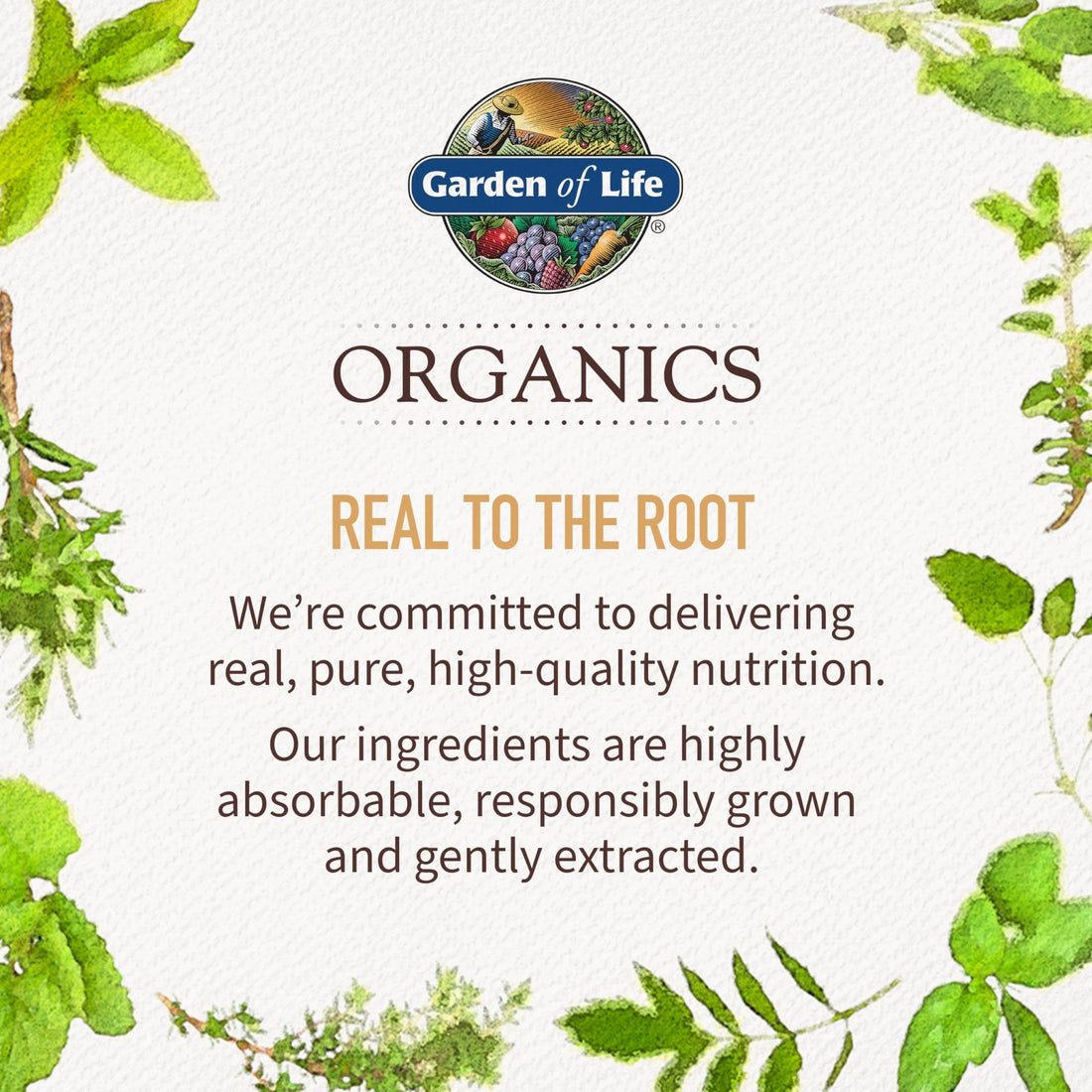 Garden of Life Organics Elderberry Gummies for Adults & Kids - Immune Support Supplement with Organic Fruit, Herbal Blend, Elderberry, Echinacea, Zinc, - PrimeBioHealth - canada supplements