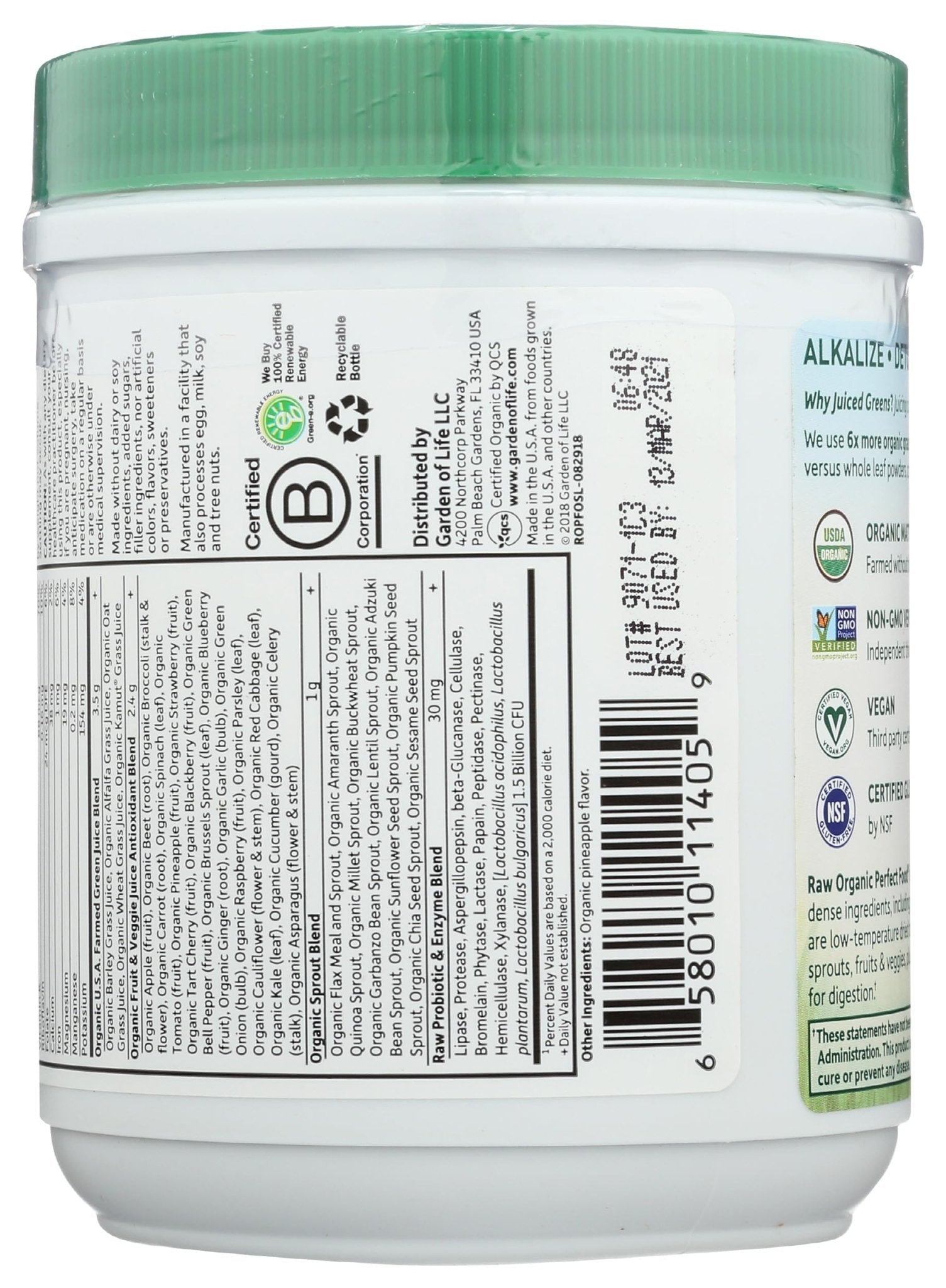 Garden of Life Raw Organic Perfect Food Green Superfood Juiced Greens Powder - Original Stevia-Free, 30 Servings, Non-GMO, Gluten Free Whole Food Dietary - PrimeBioHealth - canada supplements