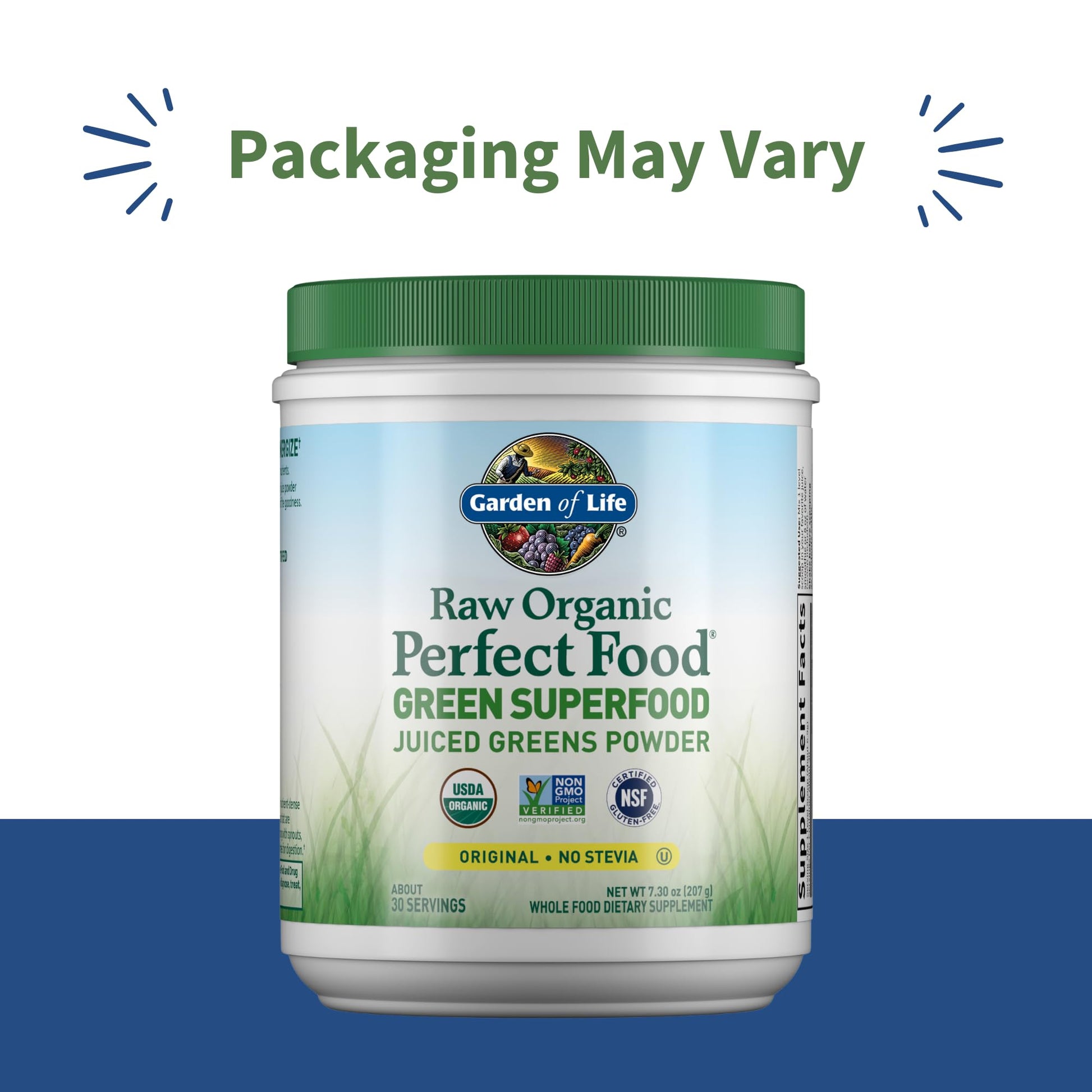 Garden of Life Raw Organic Perfect Food Green Superfood Juiced Greens Powder - Original Stevia-Free, 30 Servings, Non-GMO, Gluten Free Whole Food Dietary - PrimeBioHealth - canada supplements