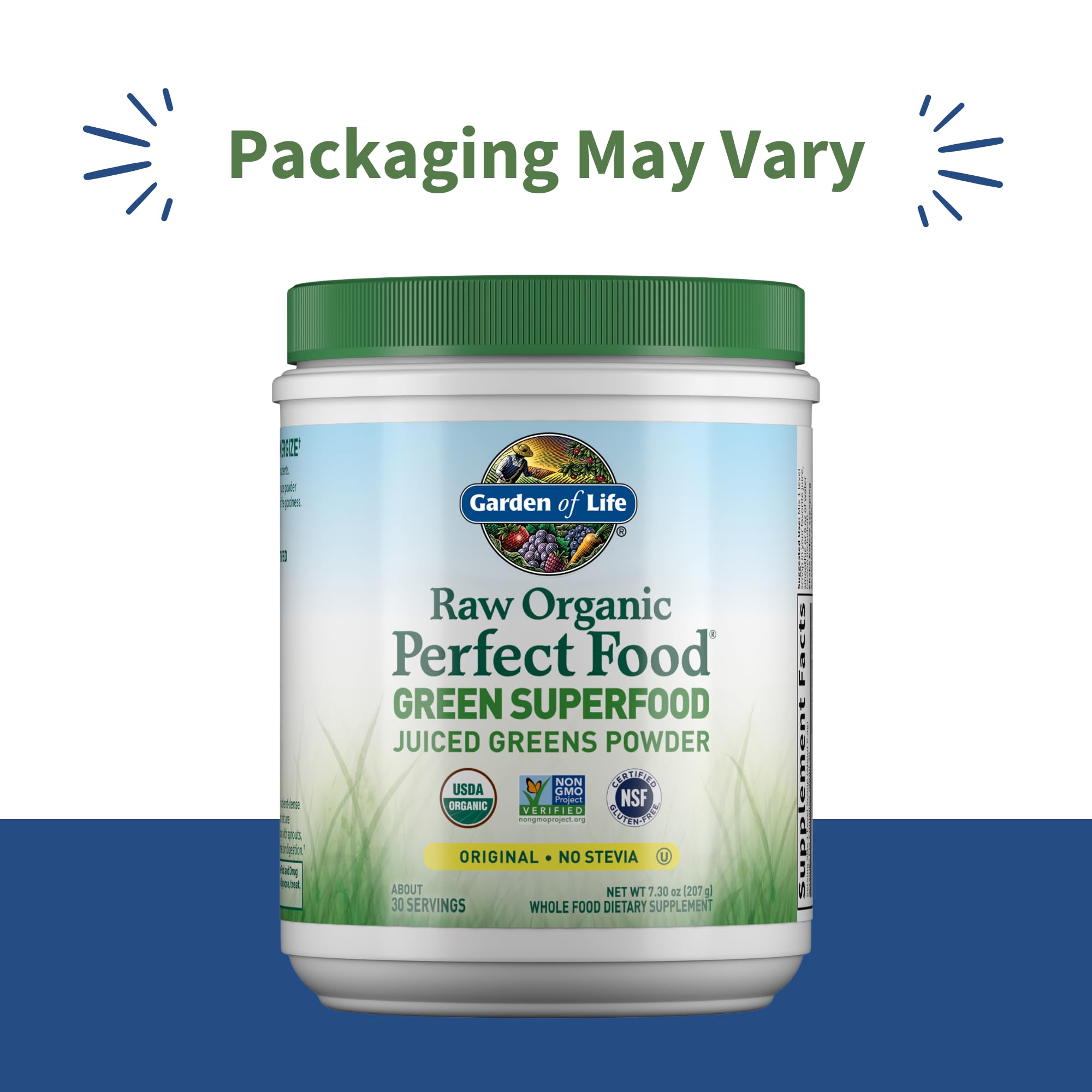 Garden of Life Raw Organic Perfect Food Green Superfood Juiced Greens Powder - Original Stevia-Free, 30 Servings, Non-GMO, Gluten Free Whole Food Dietary - PrimeBioHealth - canada supplements