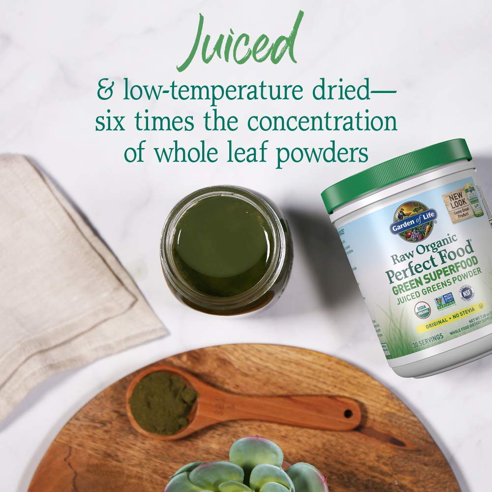 Garden of Life Raw Organic Perfect Food Green Superfood Juiced Greens Powder - Original Stevia-Free, 30 Servings, Non-GMO, Gluten Free Whole Food Dietary - PrimeBioHealth - canada supplements