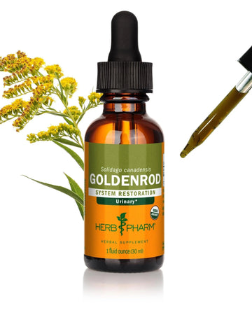 Herb Pharm Certified Organic Goldenrod Liquid Extract for Urinary System Support, 1 Fl Oz (Pack of 1) - PrimeBioHealth - canada supplements