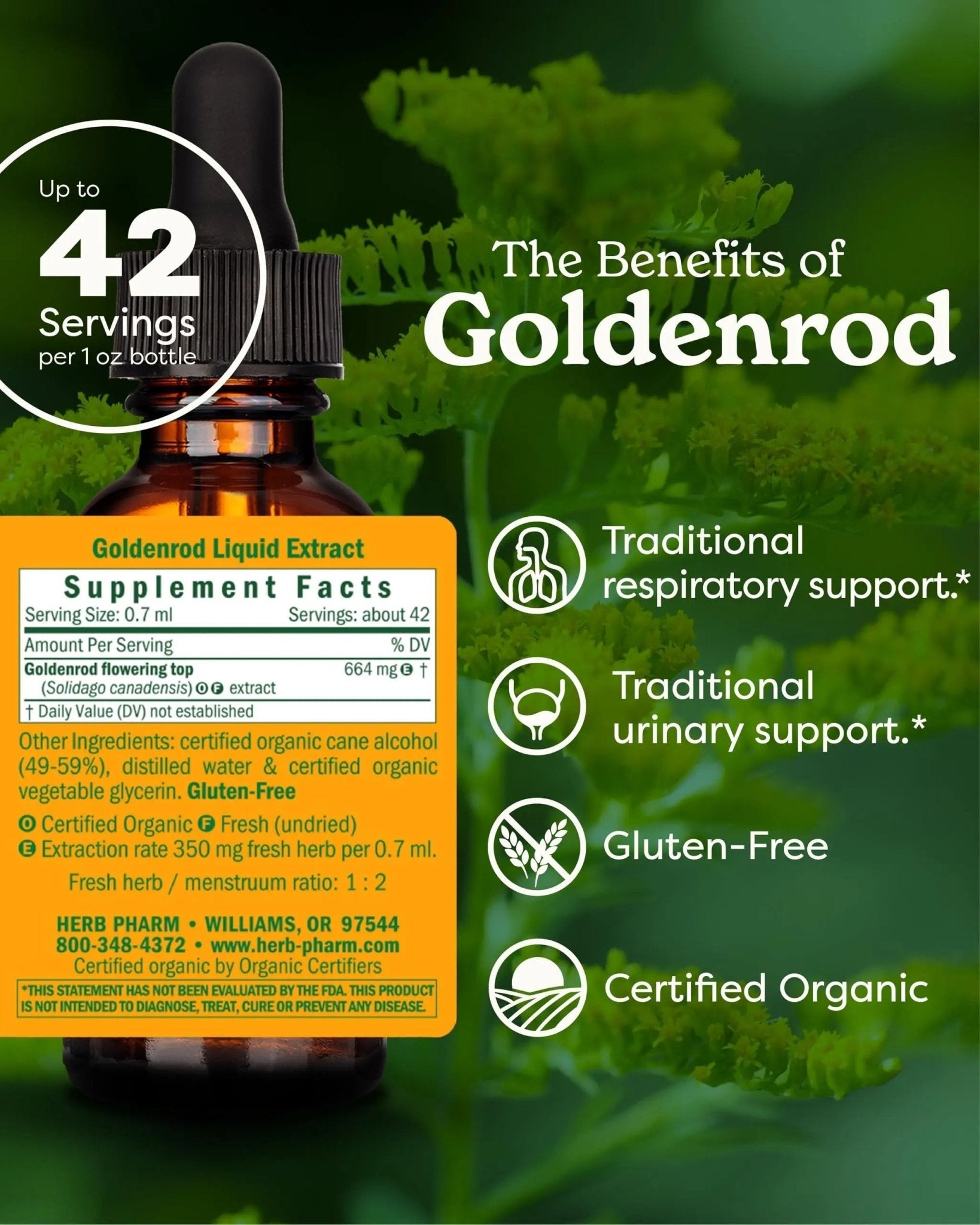 Herb Pharm Certified Organic Goldenrod Liquid Extract for Urinary System Support, 1 Fl Oz (Pack of 1) - PrimeBioHealth - canada supplements