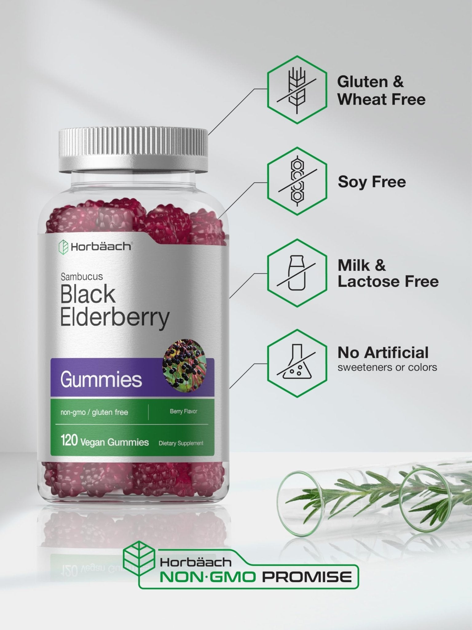Horbaach Black Elderberry Gummies | 120 Count | Sambucus Extract | with Zinc and Vitamin C | Berry Flavor | Vegan, Non-GMO - PrimeBioHealth - canada supplements