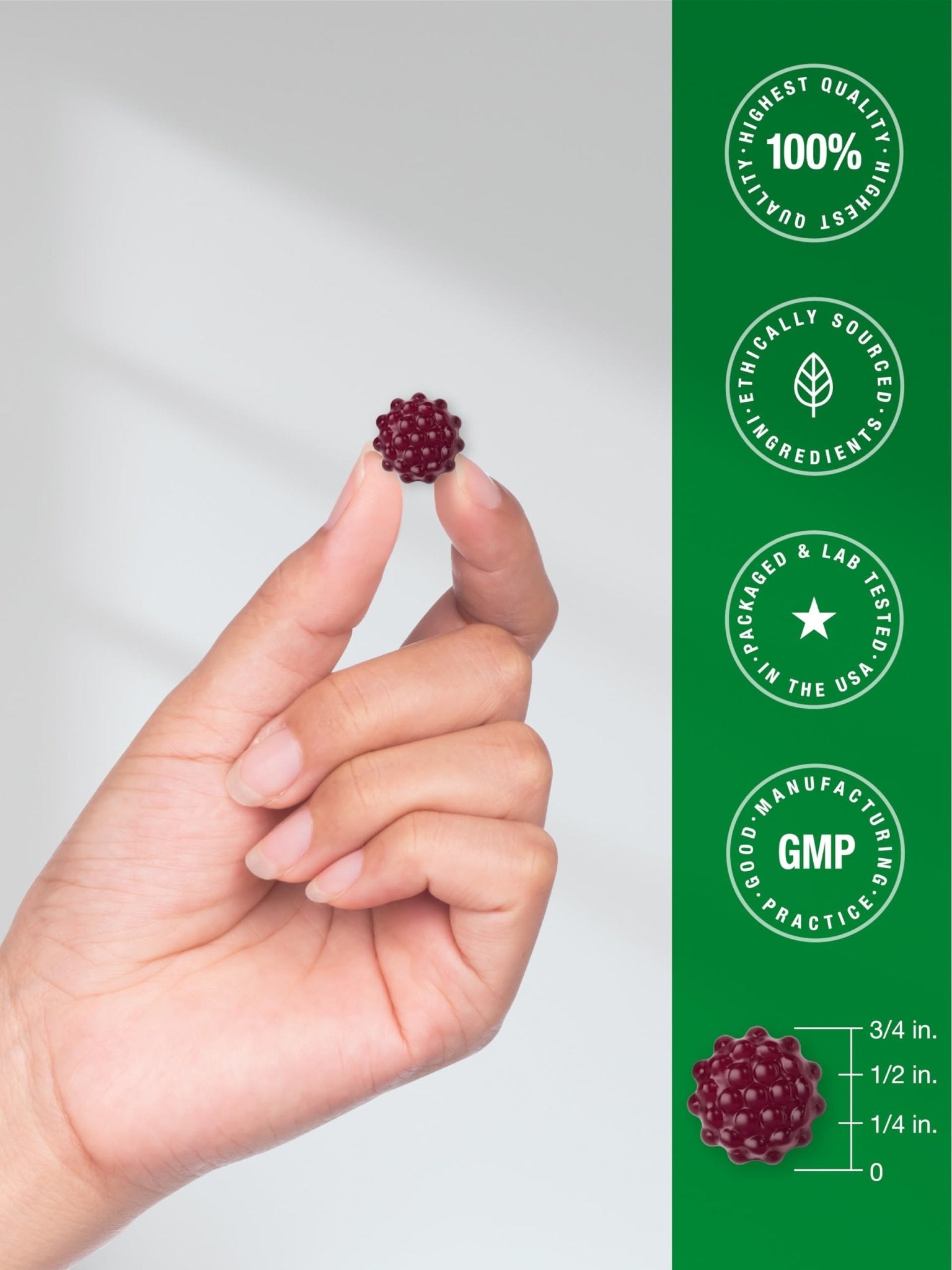 Horbaach Black Elderberry Gummies | 120 Count | Sambucus Extract | with Zinc and Vitamin C | Berry Flavor | Vegan, Non-GMO - PrimeBioHealth - canada supplements