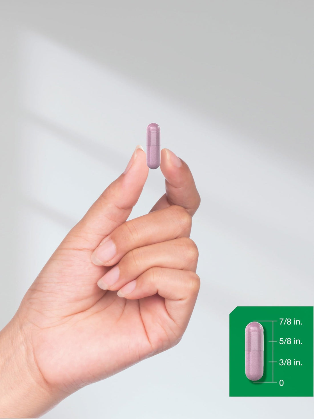 Horbäach Beet Root Powder Capsules | 220 Pills | Herbal Extract | Non-GMO, Gluten Free Supplement - PrimeBioHealth - canada supplements
