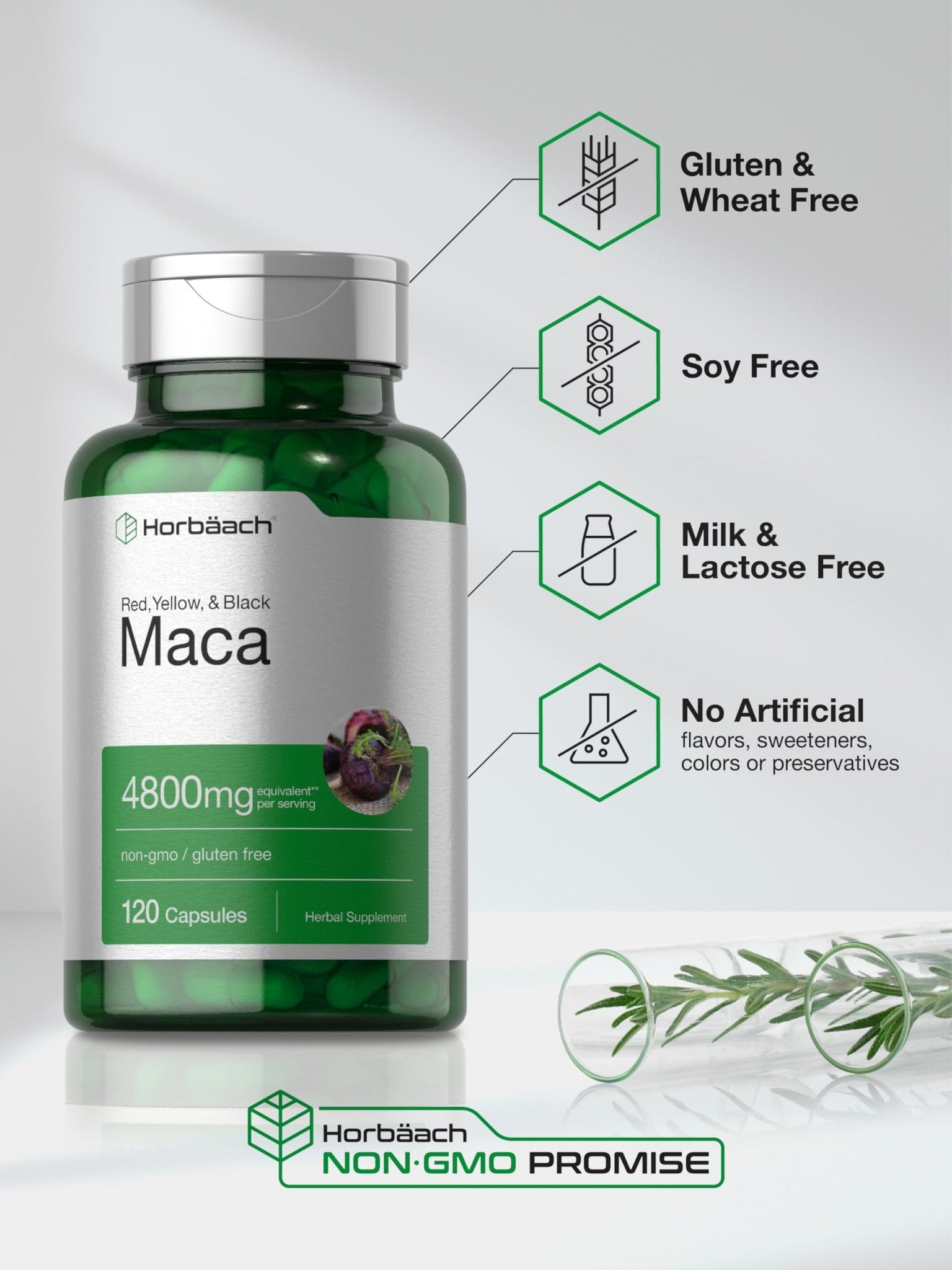 Horbäach Maca Root Capsules for Men and Women | 120 Pills | High Potency Extract | Non-GMO and Gluten Free Formula - PrimeBioHealth - canada supplements