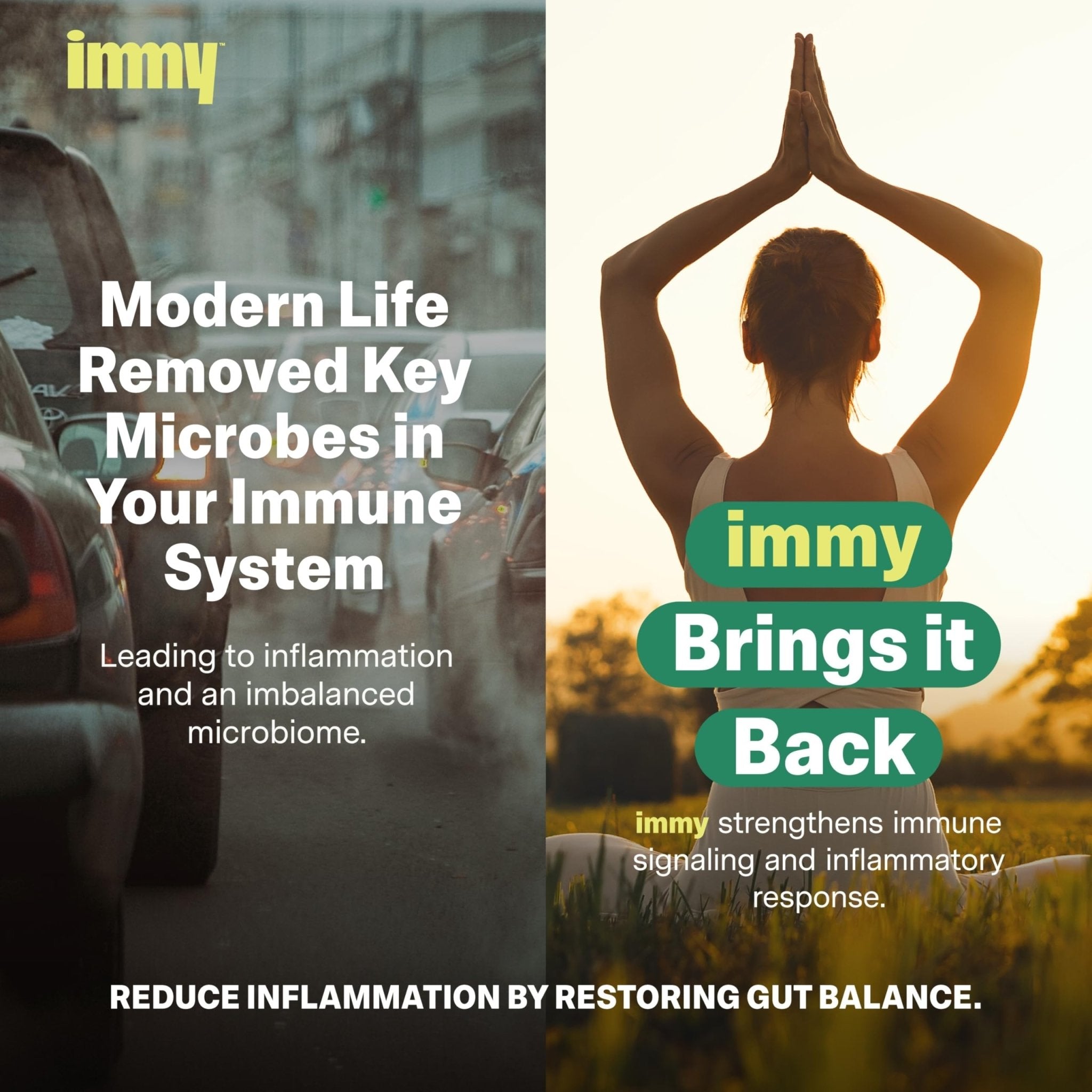 IMMY Doctor-Developed Inflammation Support - 90 Capsules - Supports Healthy Inflammatory Response & Immune Resilience - PrimeBioHealth - canada supplements