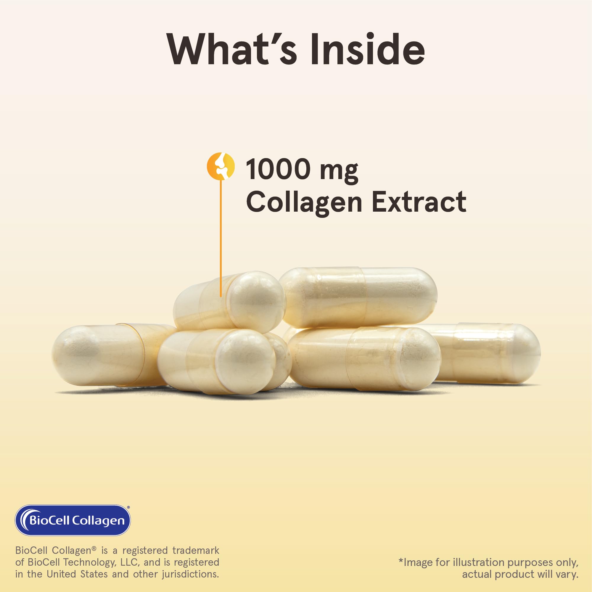 Jarrow Formulas® Type II Collagen Complex 1000 mg Supplements, Supports Skin and Joint Health, 60 Capsules, 30 Day Supply - PrimeBioHealth - canada supplements