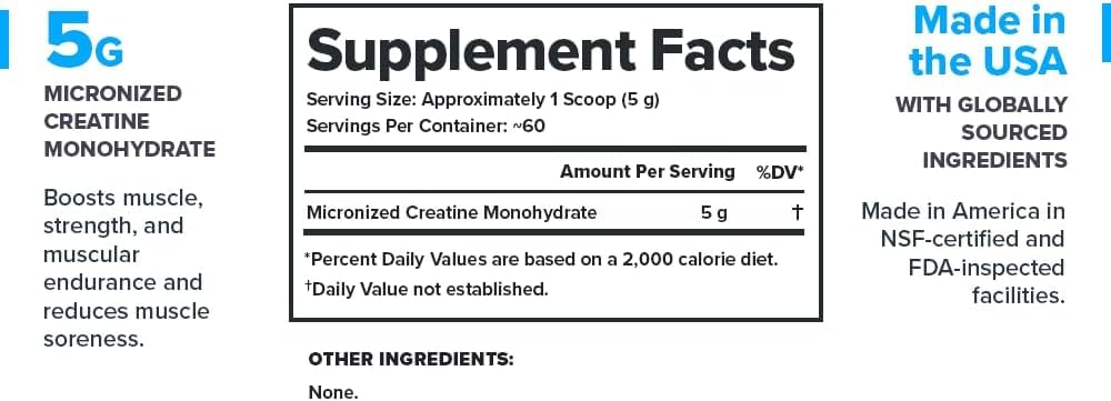 LEGION Micronized Creatine Monohydrate Supplement - Clean Creatine Powder for Muscle Gain & Post Workout Recovery - Micronized Creatine Supplement for Maximum - PrimeBioHealth - canada supplements